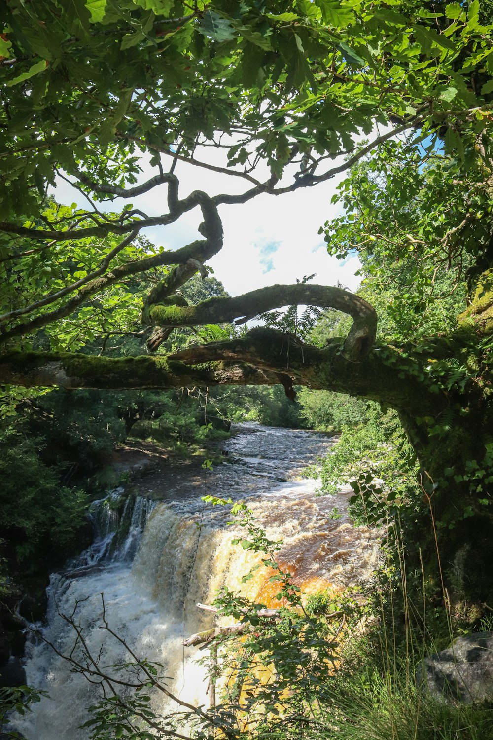 a large waterfall surrounded by lush green trees