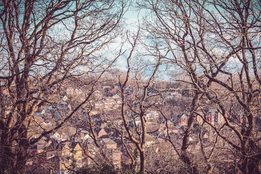 a view of a city through the trees