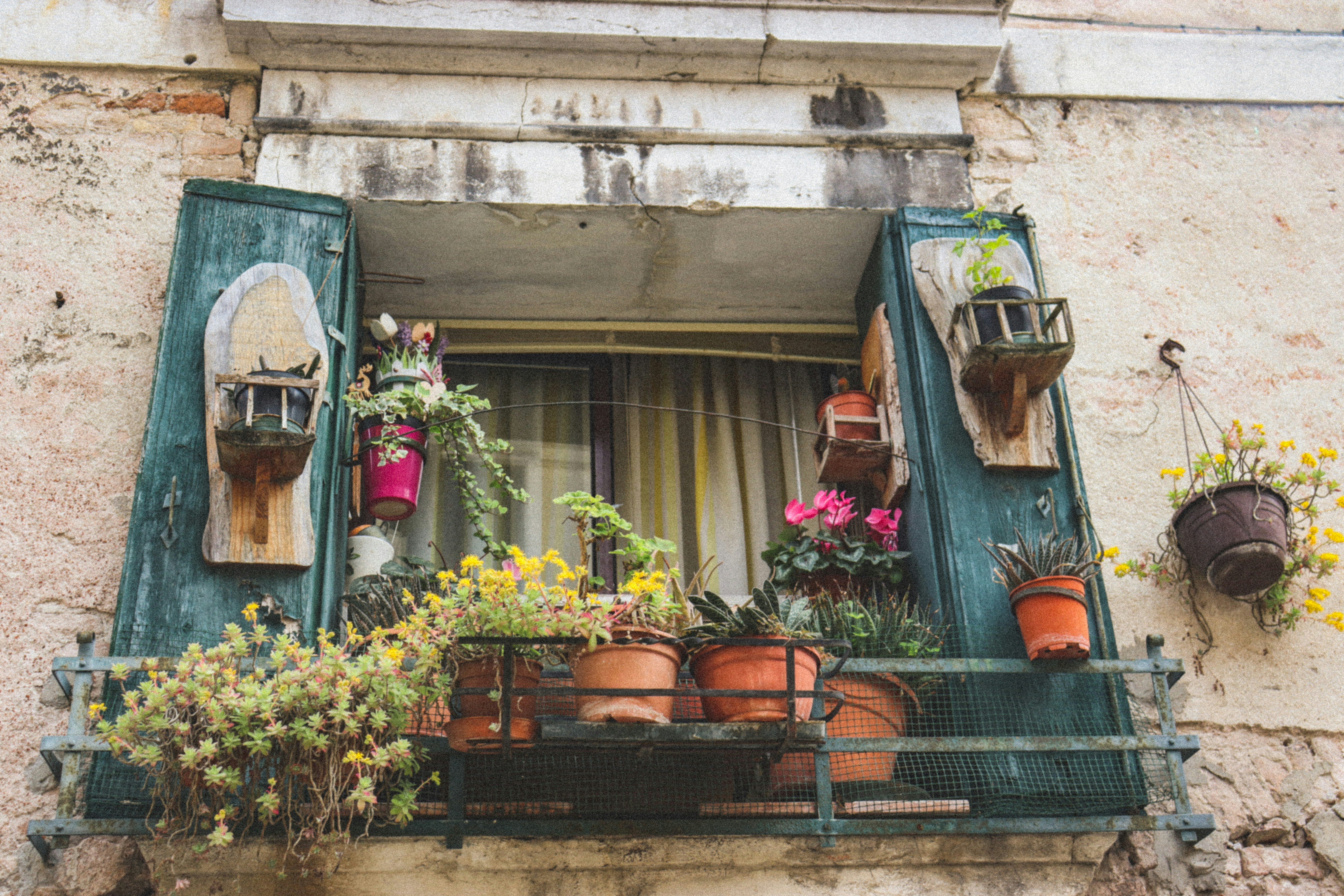 Photo by nicolearangolang