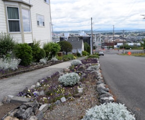 A residential street scene with a sloped sidewalk lined with neatly arranged plants and flowers. A large white house with multiple windows is on the left, surrounded by bushes. The street stretches into the distance with a car parked on the side and orange construction signs visible. In the background, a mix of industrial and residential buildings is seen against a cloudy sky.