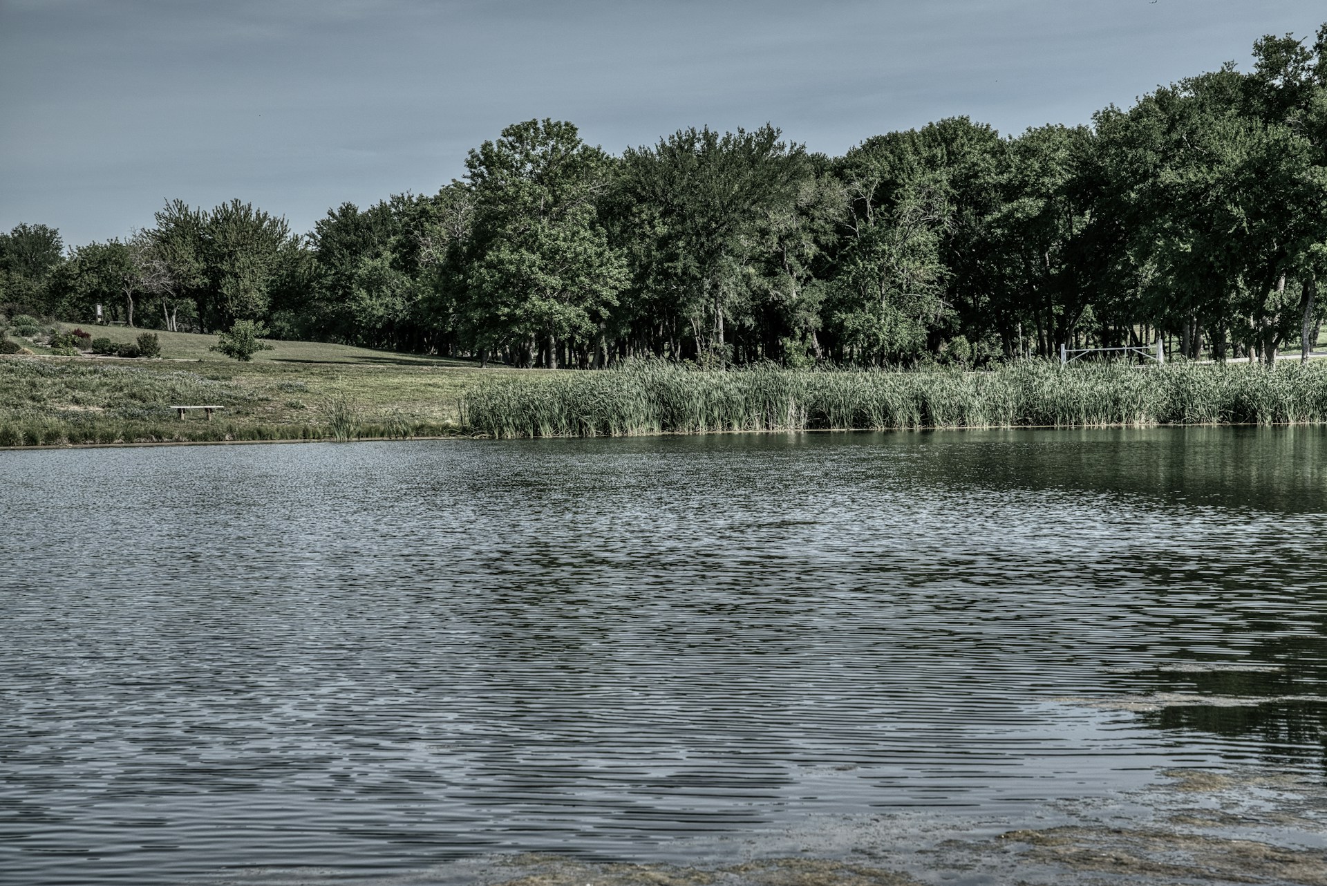a large body of water surrounded by trees