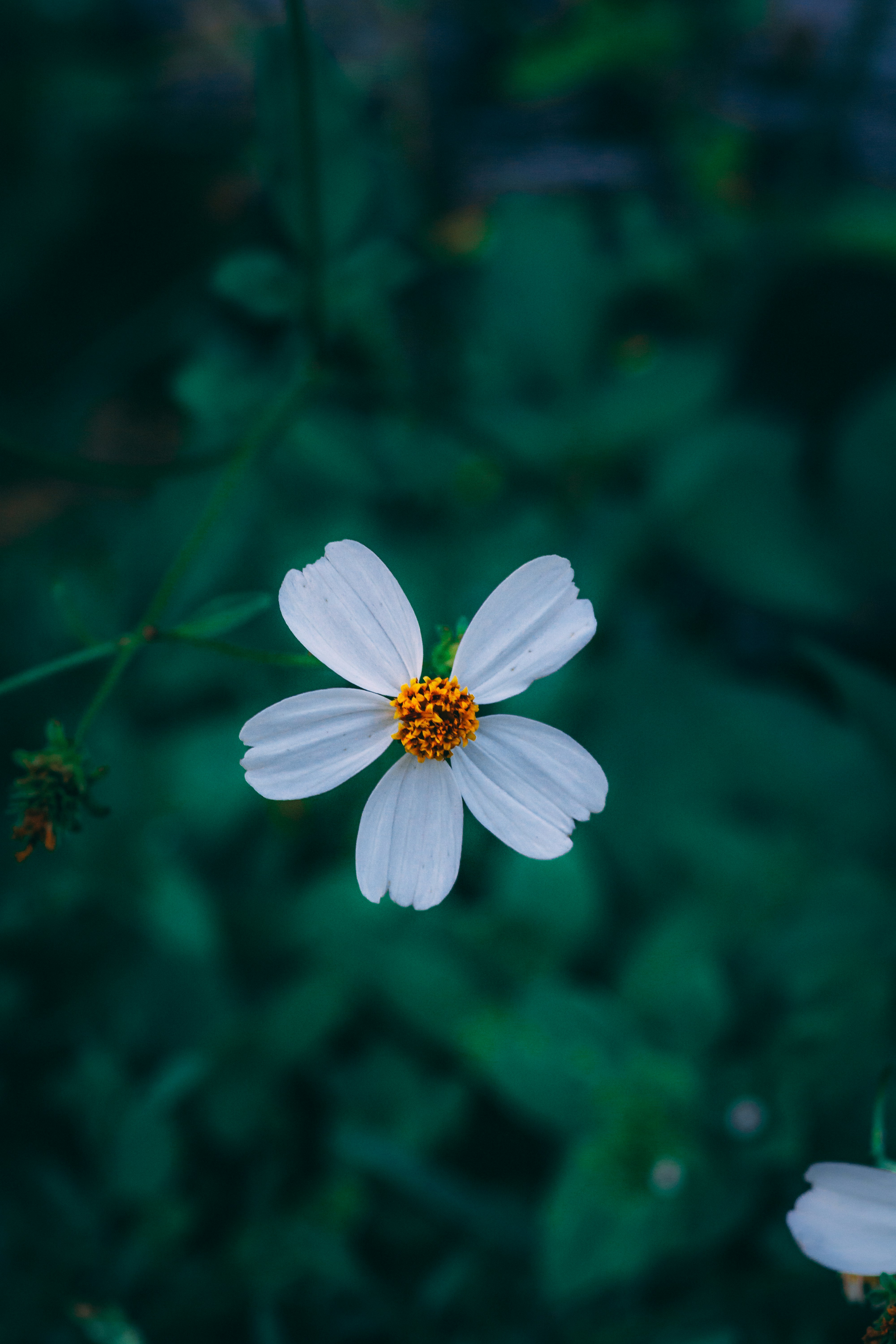 Photo by mhgfxdesign