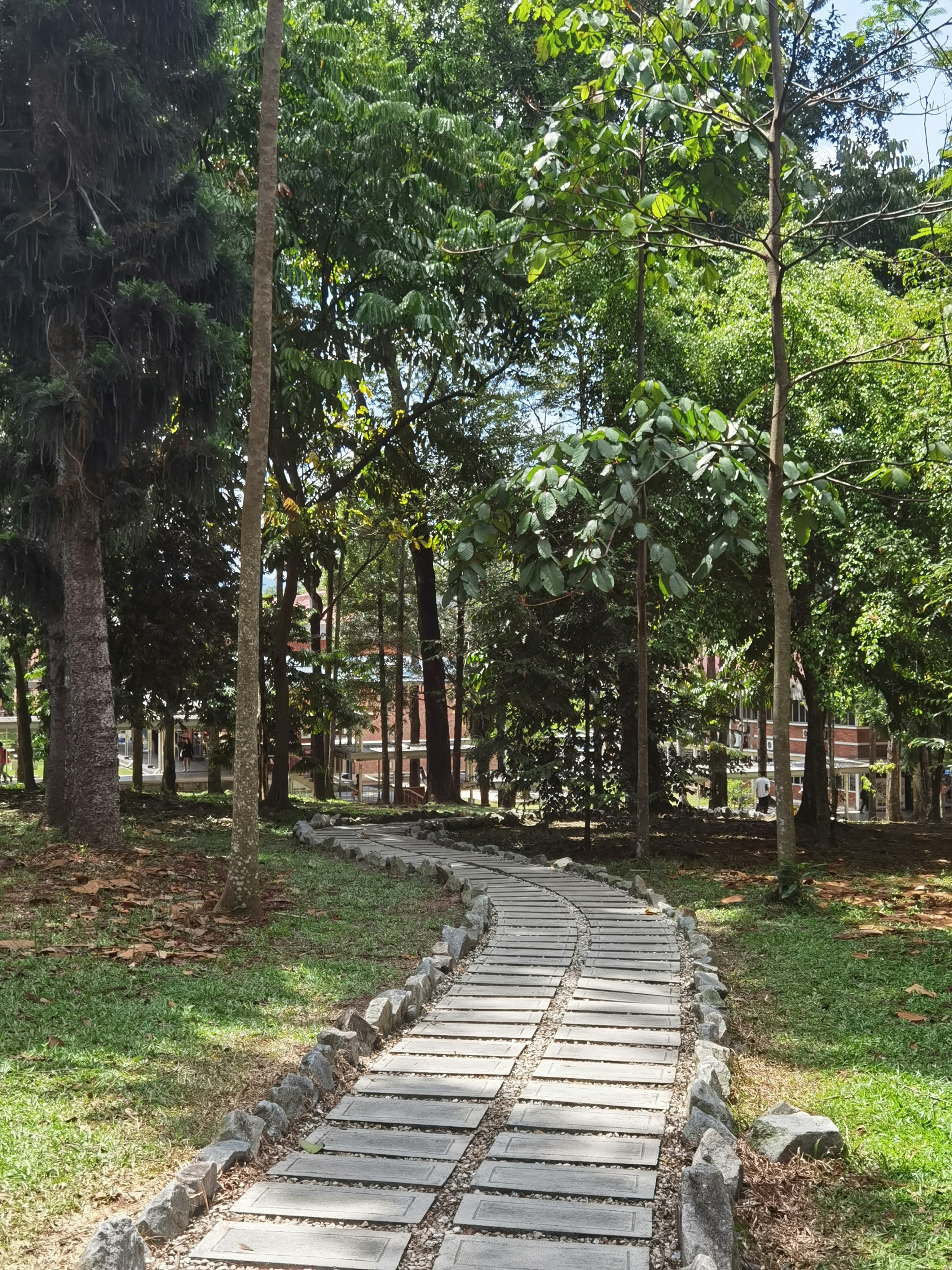 A stone path in the middle of a park photo – Free Path Image on Unsplash
