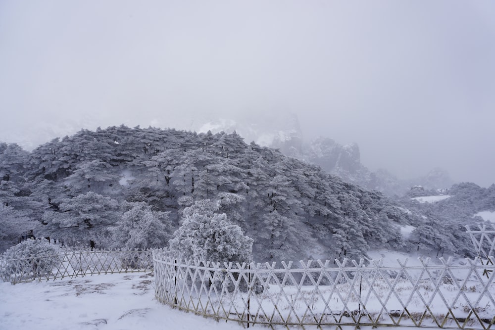 ein schneebedeckter Berg mit einem weißen Zaun im Vordergrund