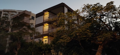 Evening shot of a discreet build nestled among tall trees, softly lit.