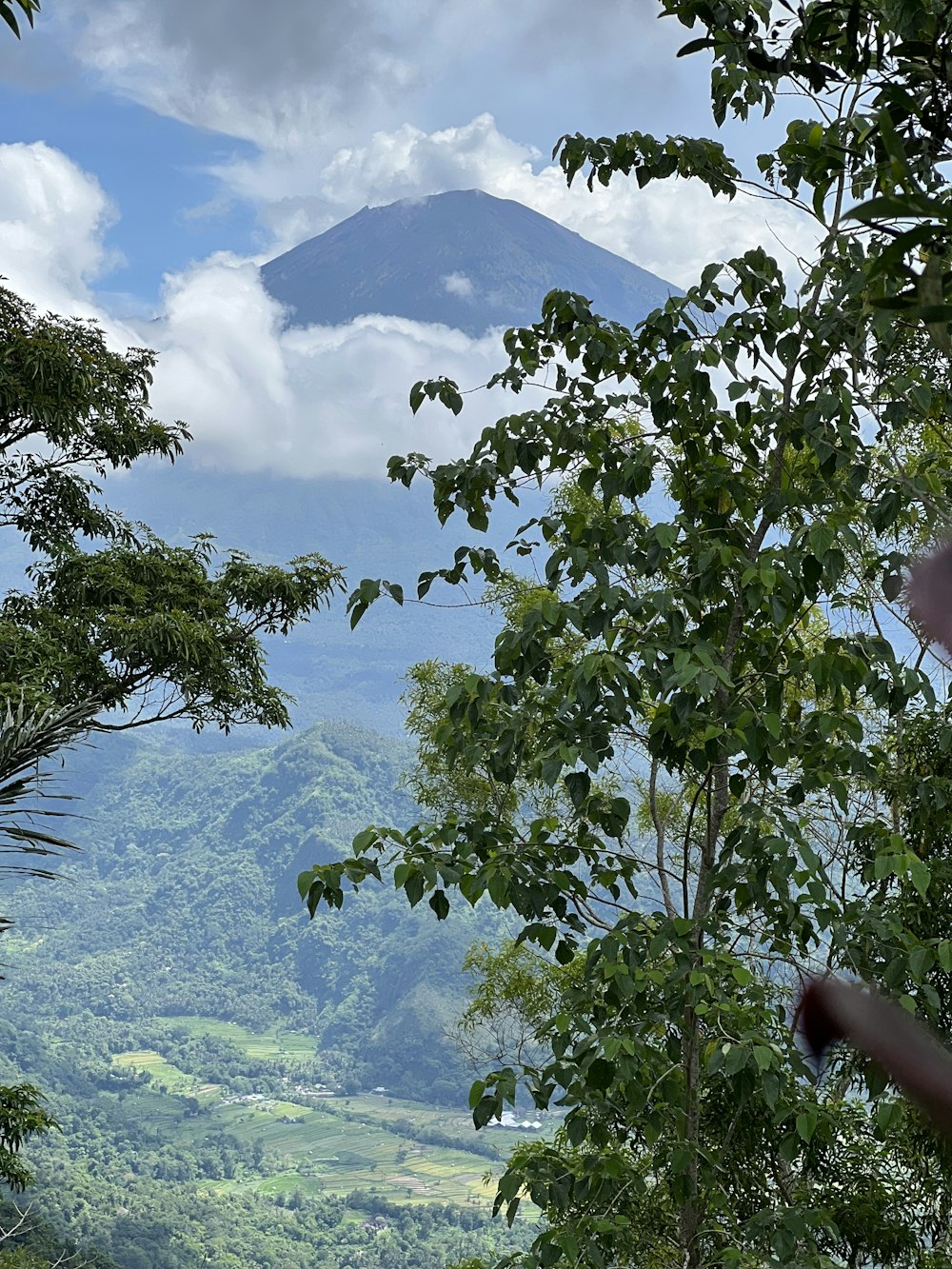 a view of a mountain from a distance