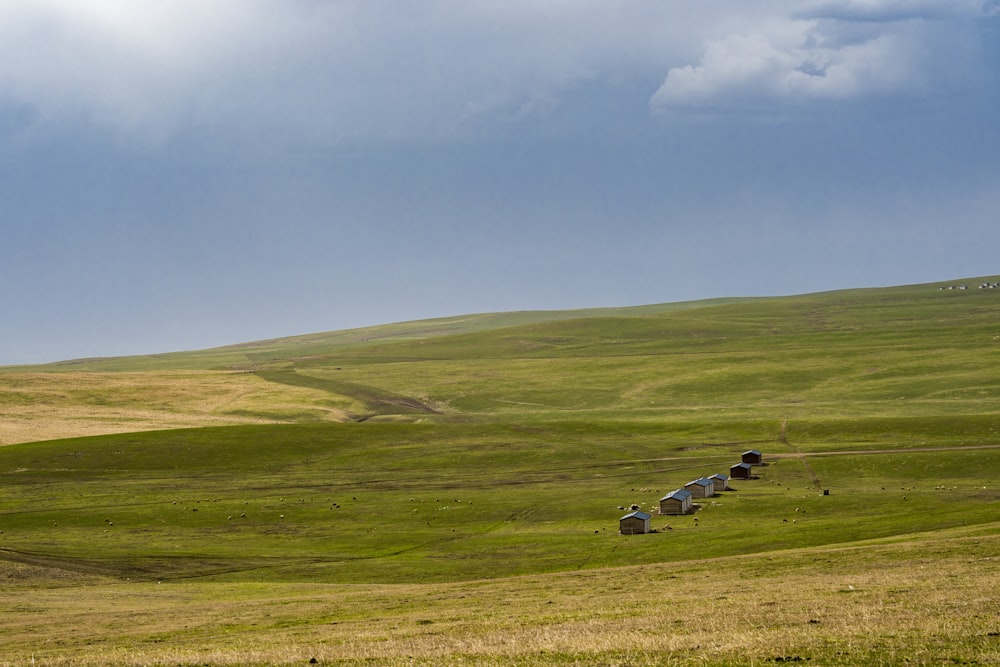 a grassy field with a few houses in the distance