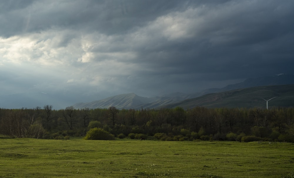 a green field with a wind turbine in the distance