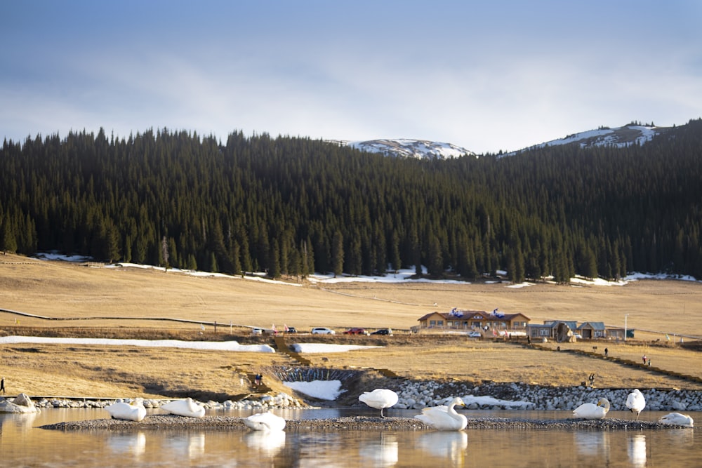 a lake surrounded by snow covered mountains and trees