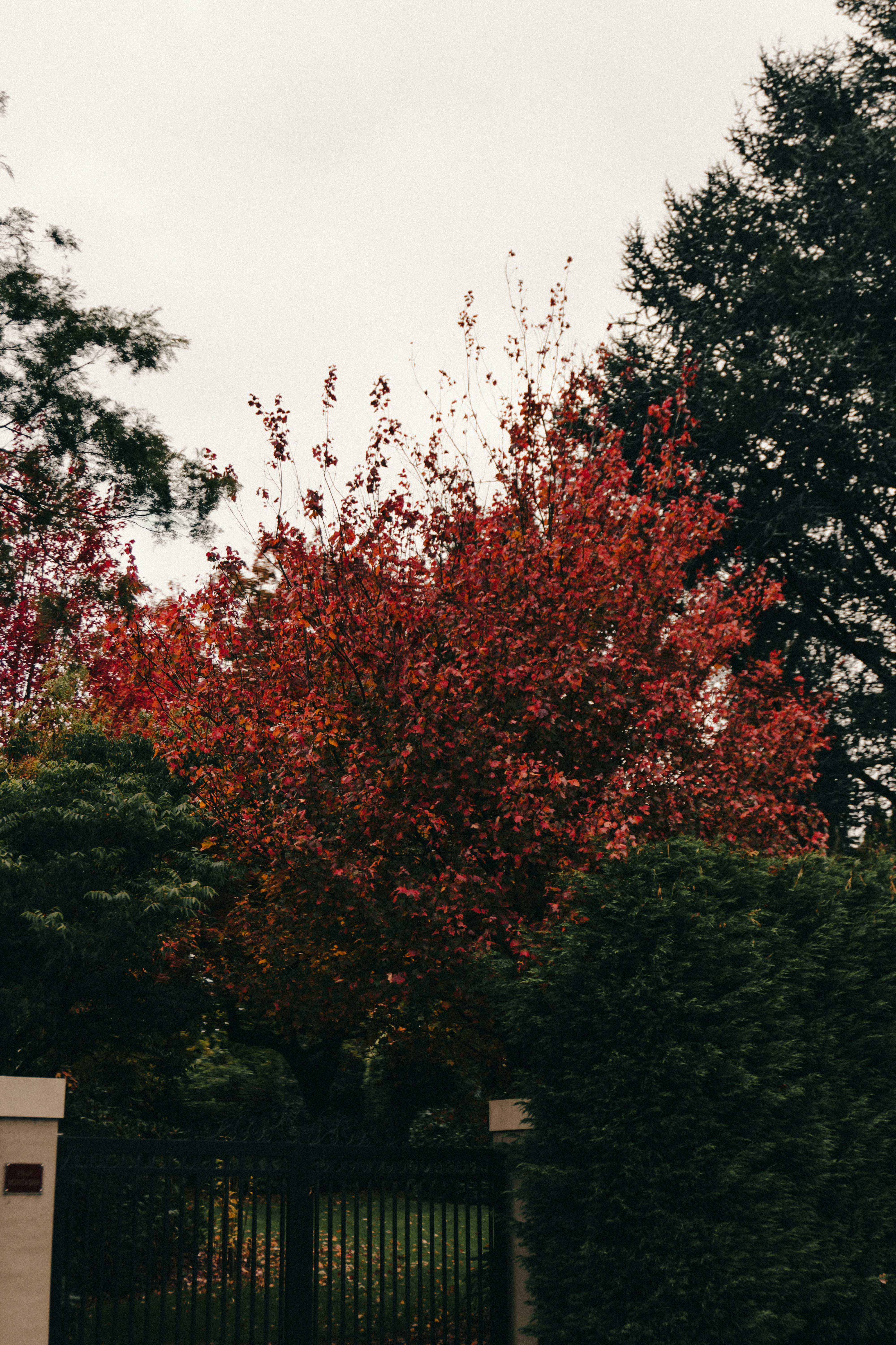 Photo by moon_the_boi