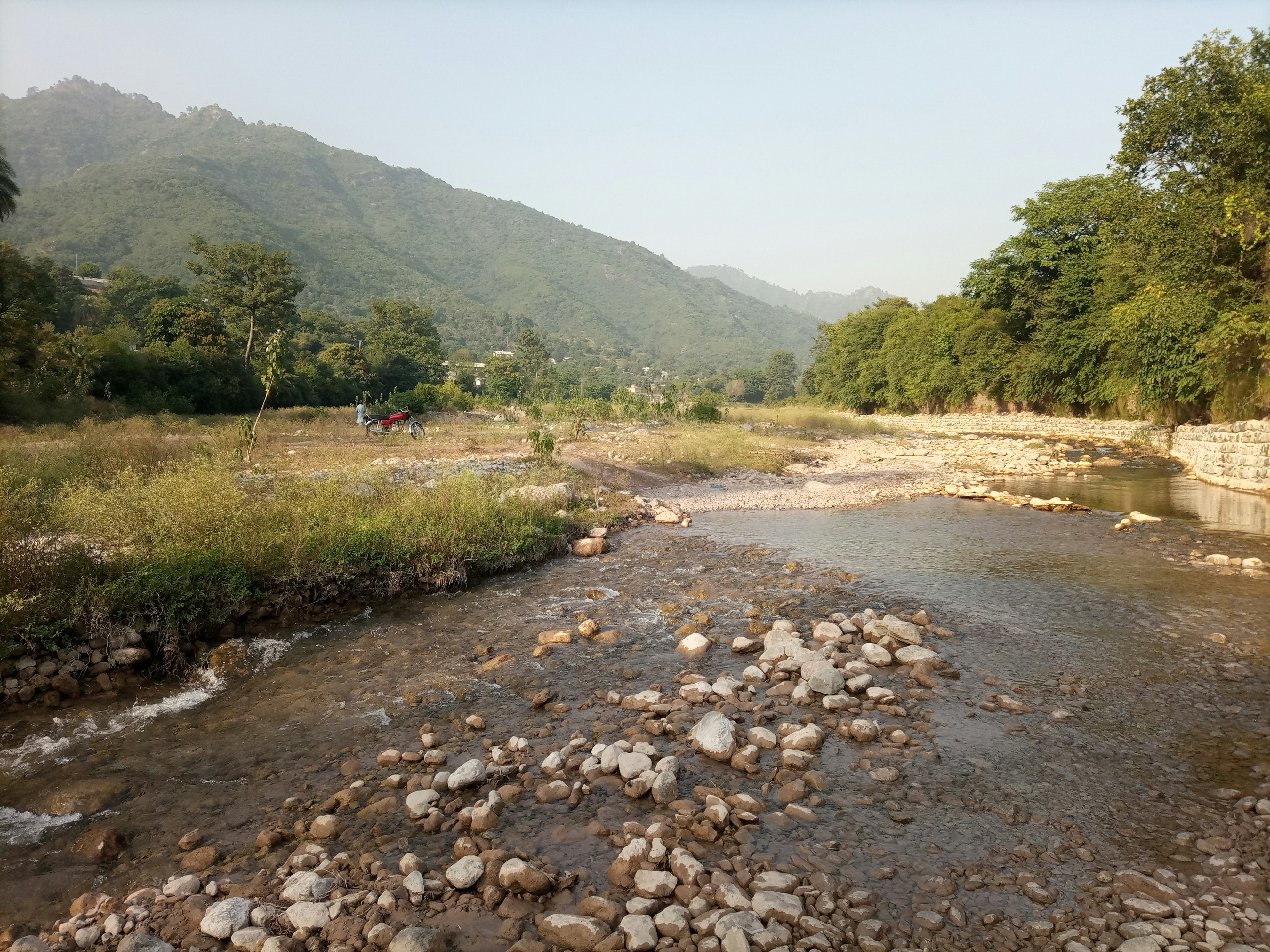 a river running through a lush green forest