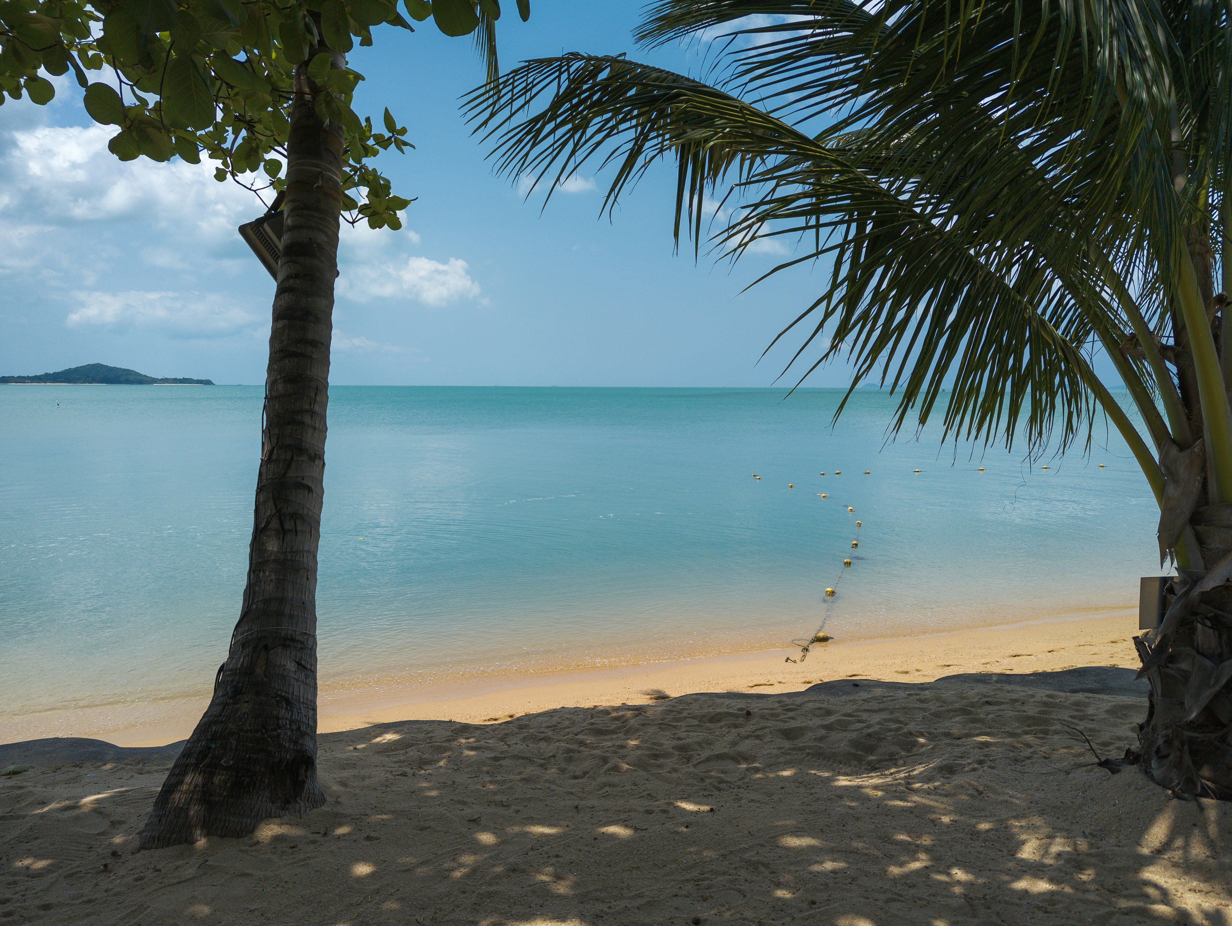 Photo by frugalflyer