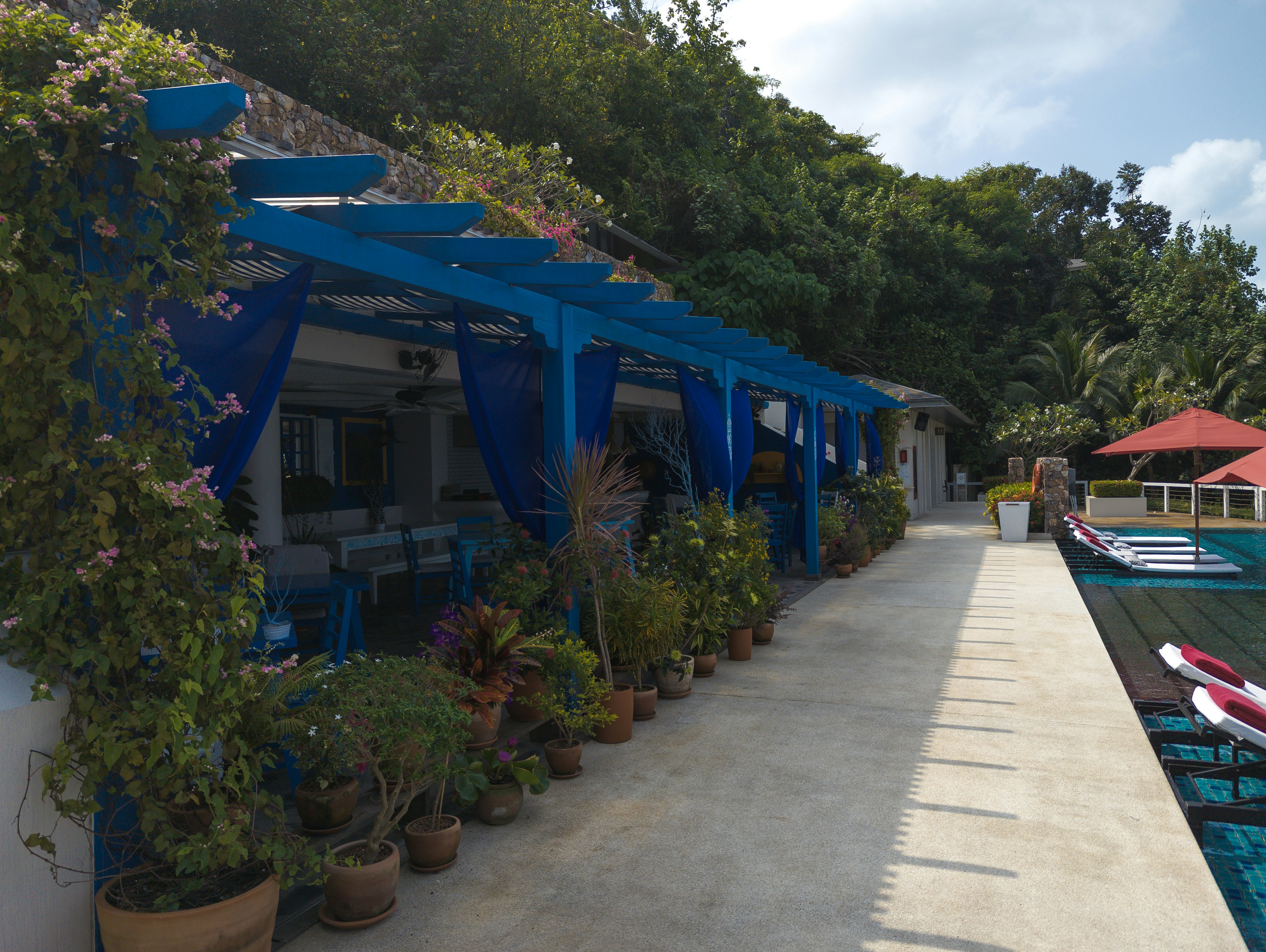 A Row Of Boats Sitting Next To A Dock Photo Free Thailand Image On 