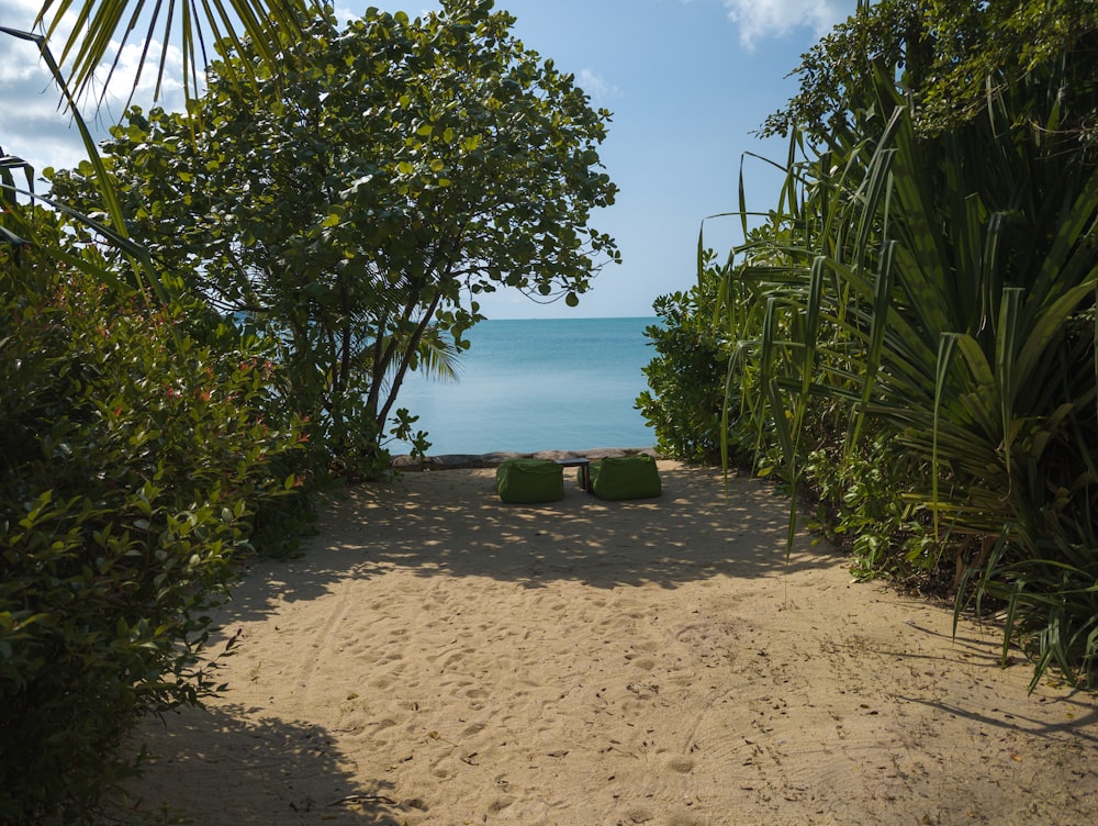 a sandy path leading to a beach with a view of the ocean