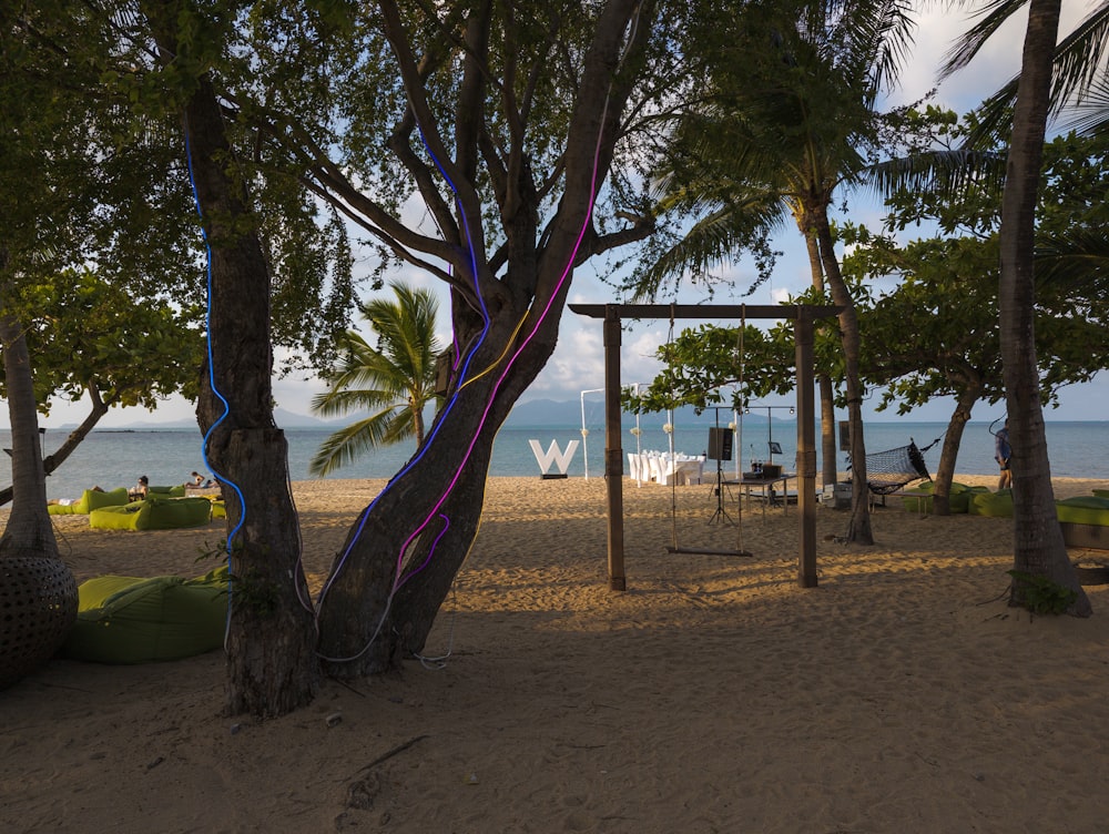 una zona de playa con un árbol y una estructura de juego