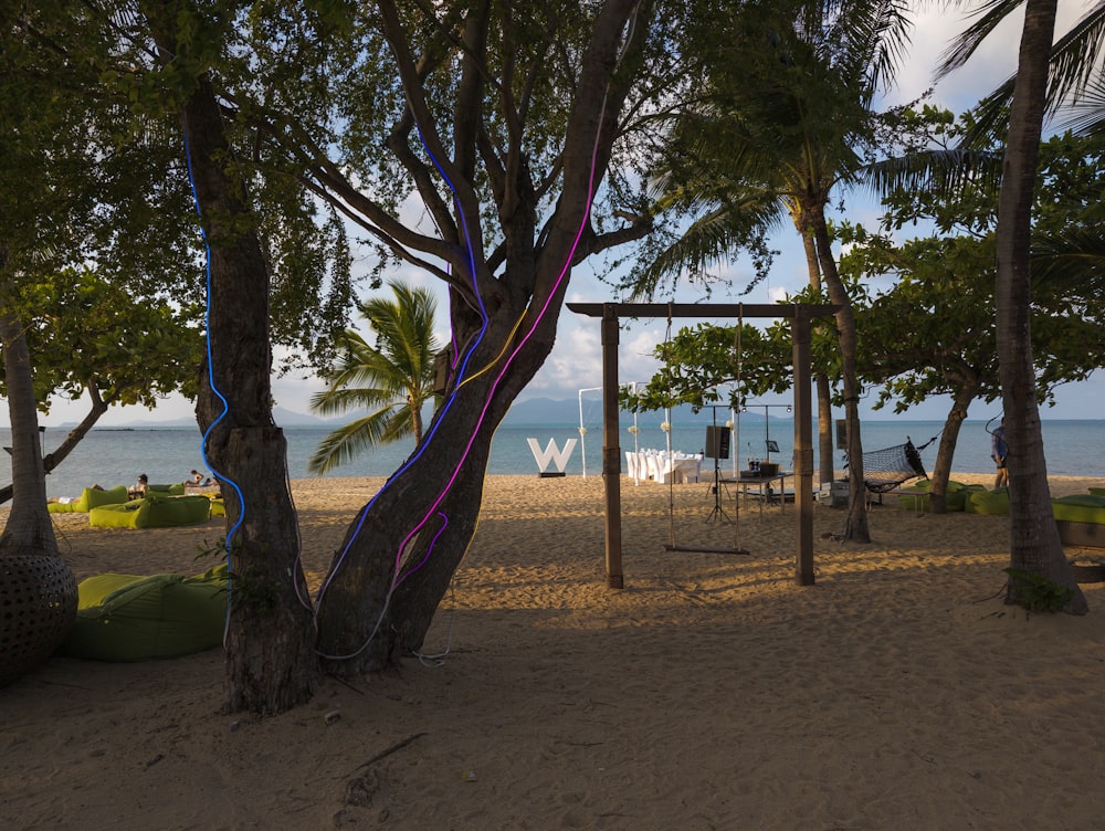 ein Strandbereich mit einem Baum und einer Spielstruktur