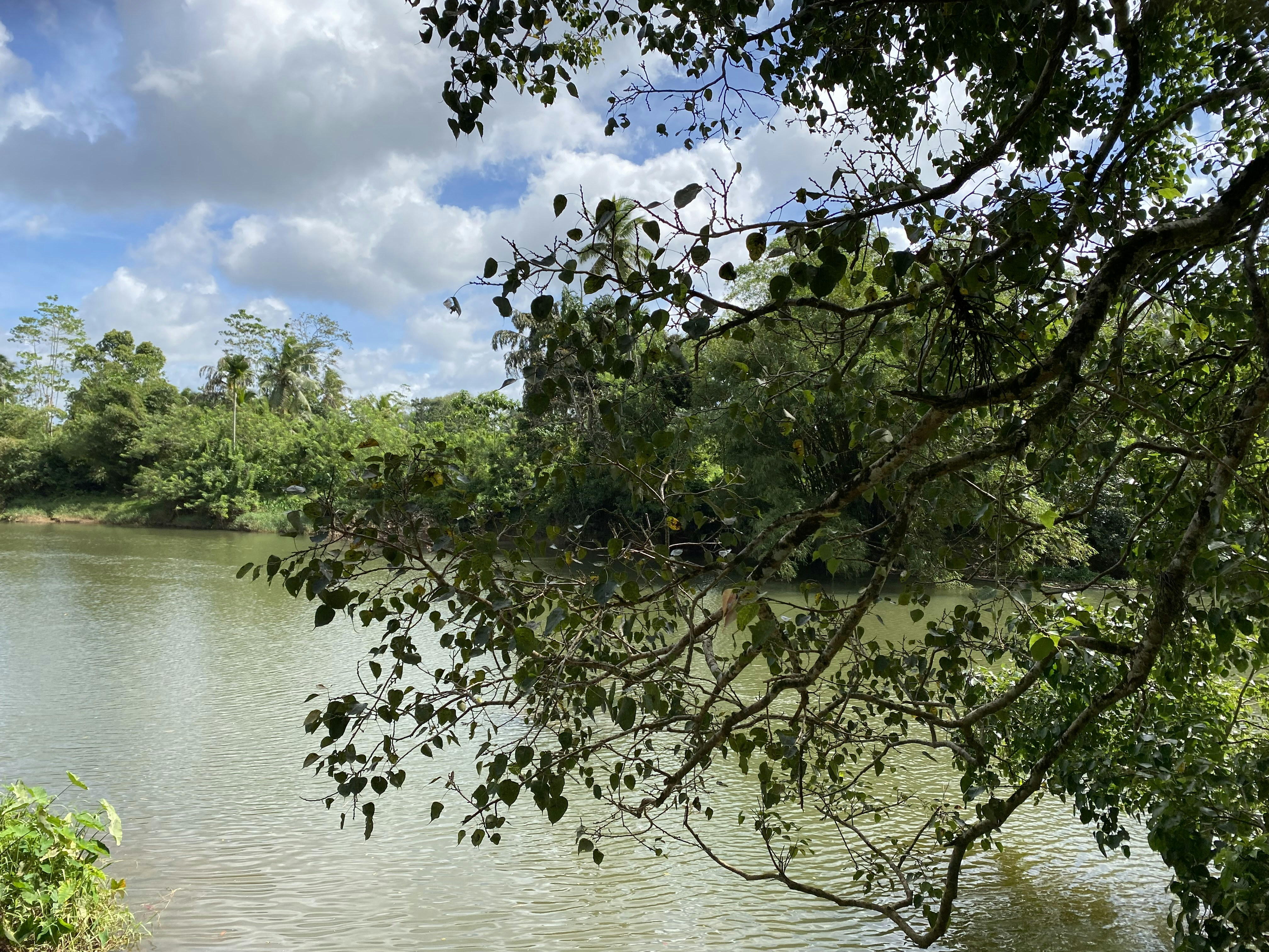 Photo by hasanthakkn