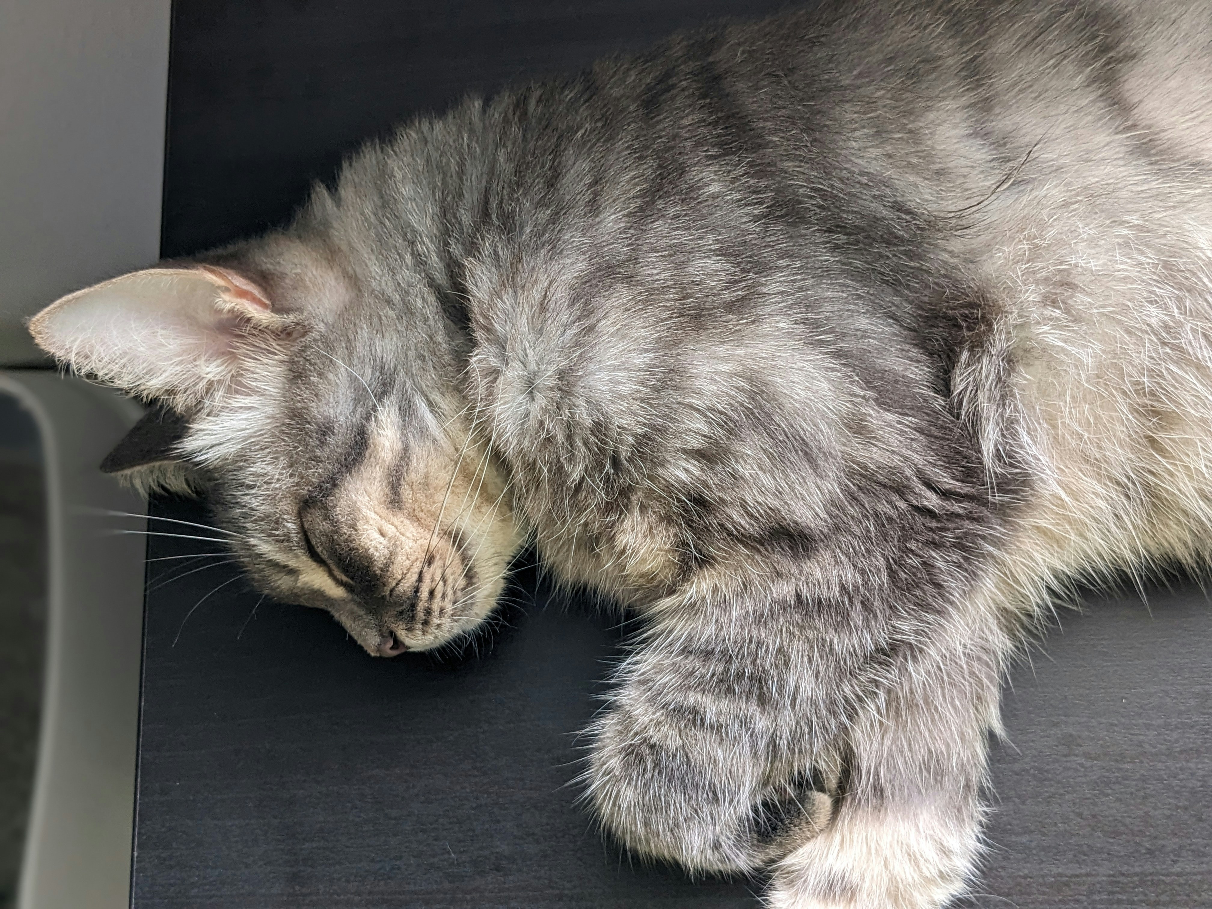 a cat sleeping on top of a black table