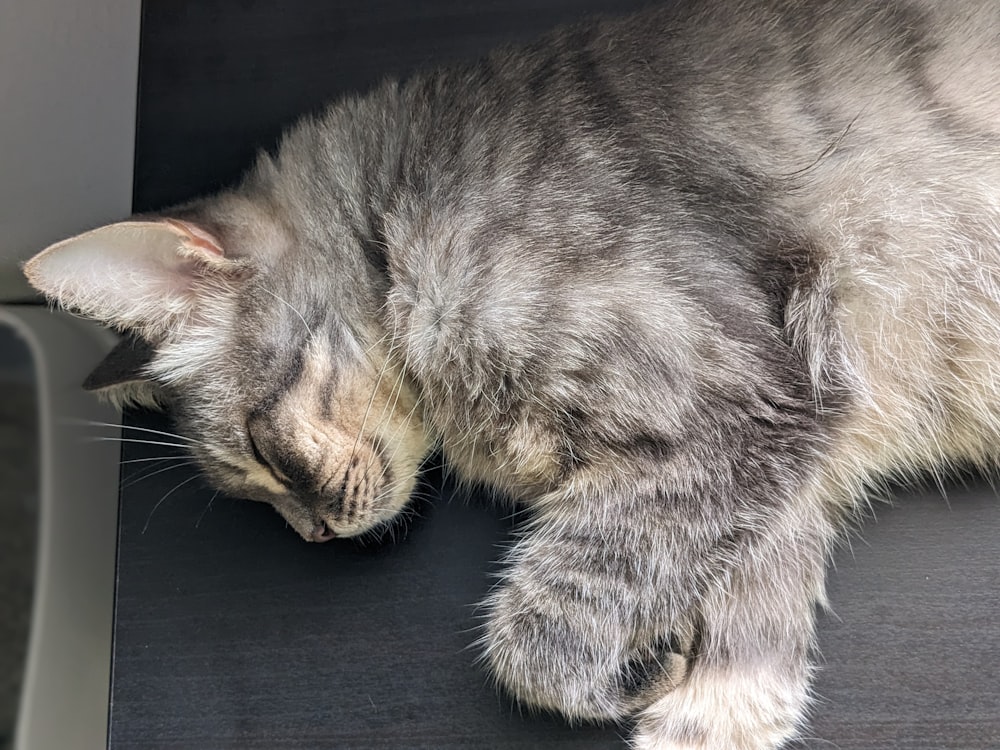 a cat sleeping on top of a black table