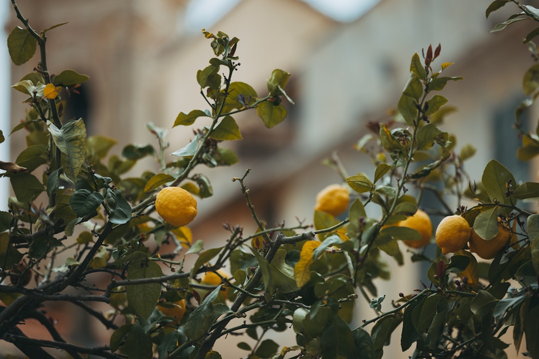Hidden Gems of Southern Italy Why, photo 2