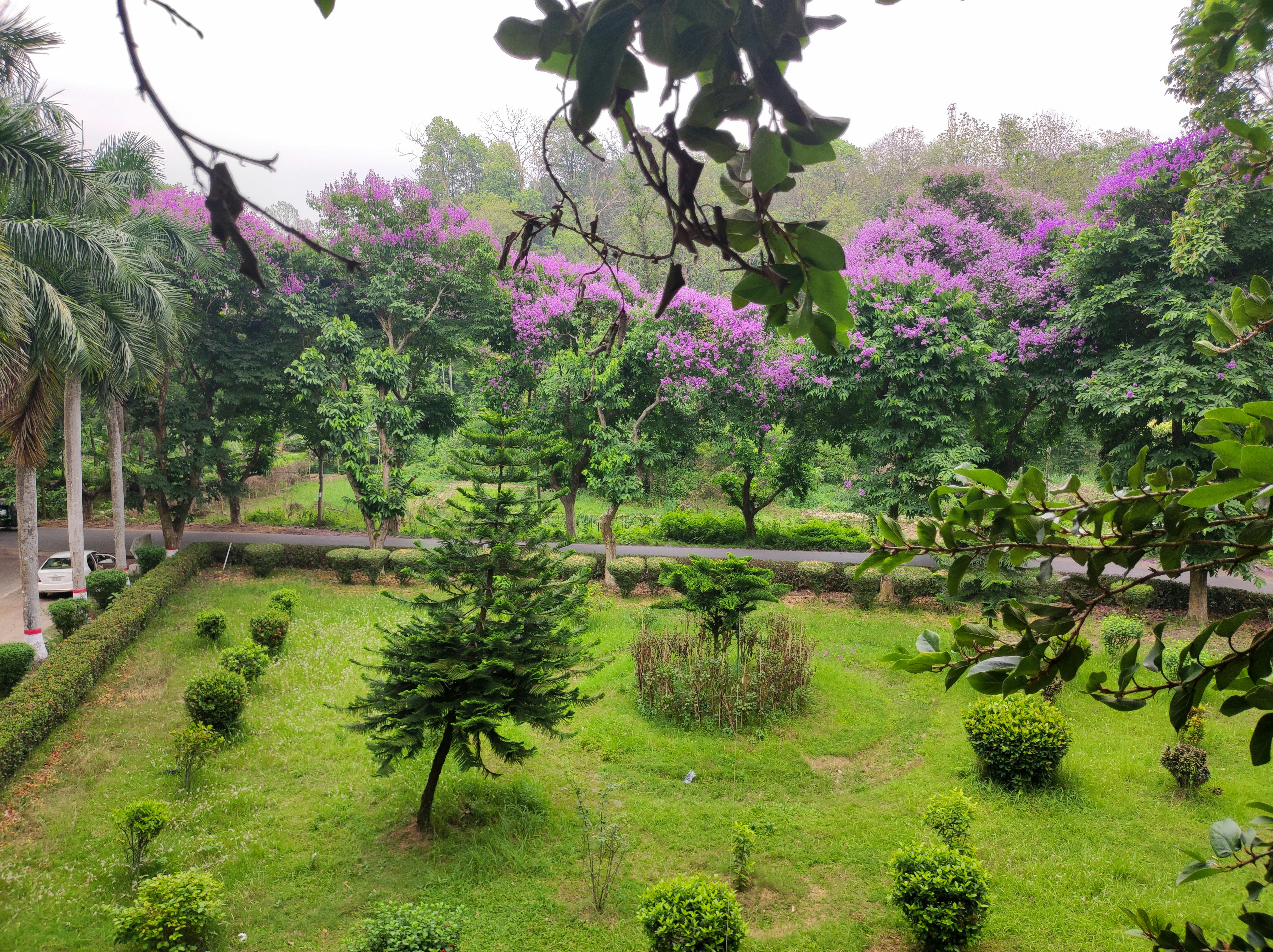 Photo by farhan_shahriar