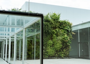 A sleek corporate garden space with modern planters and green walls.