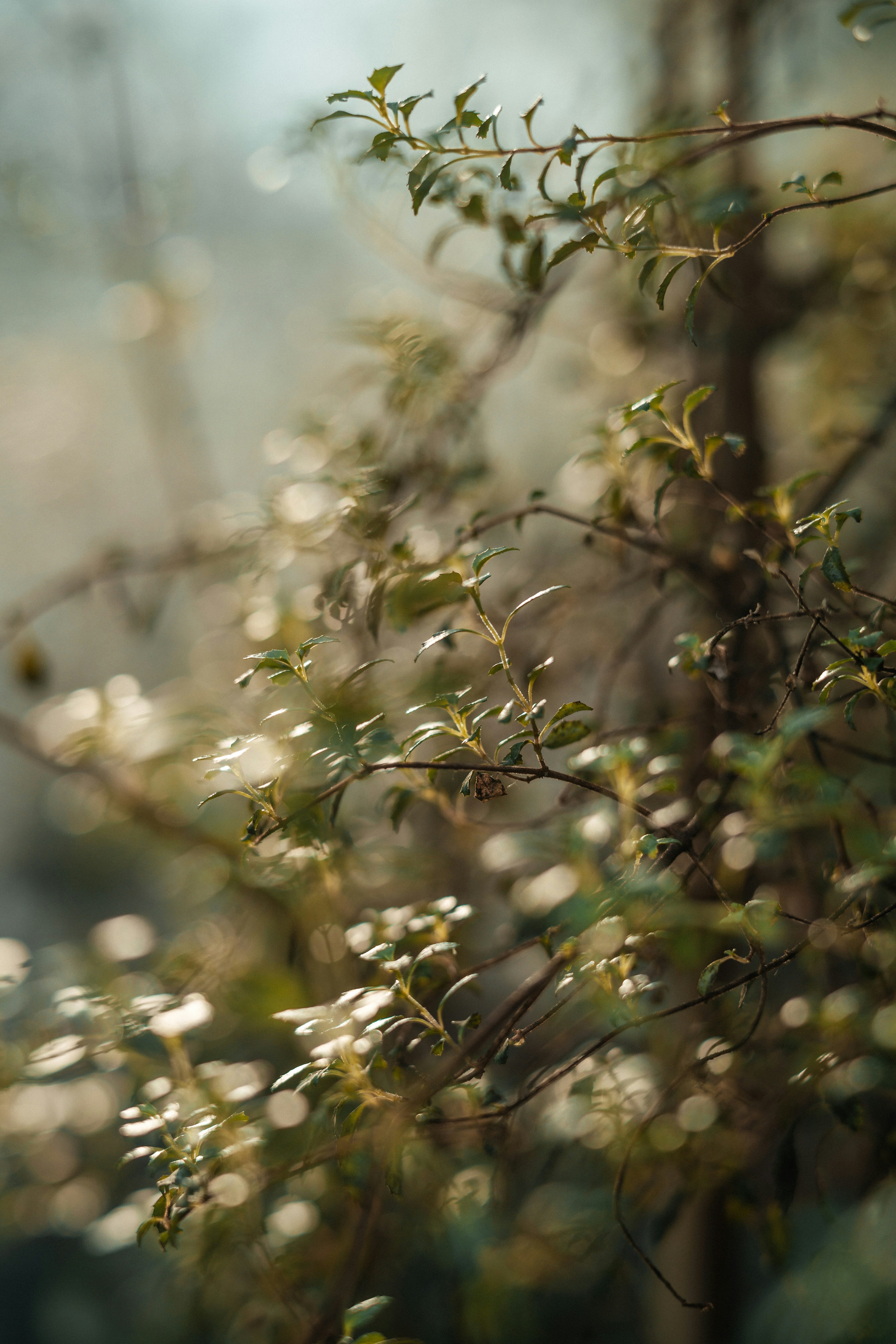 Photo by anamnesis33