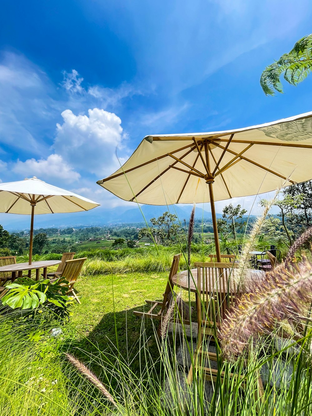 a couple of umbrellas sitting on top of a lush green field