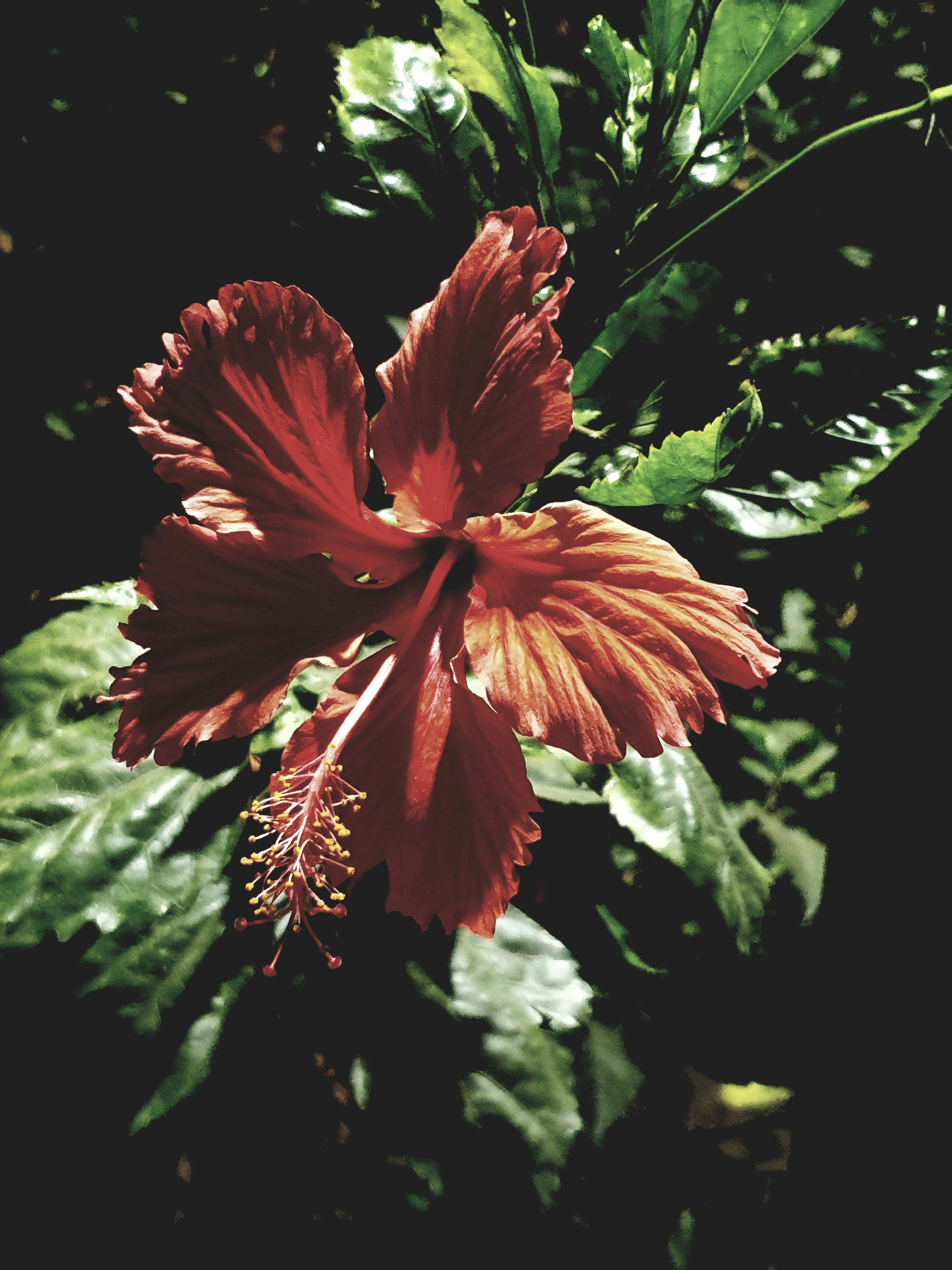 Photo by dhriti_das007