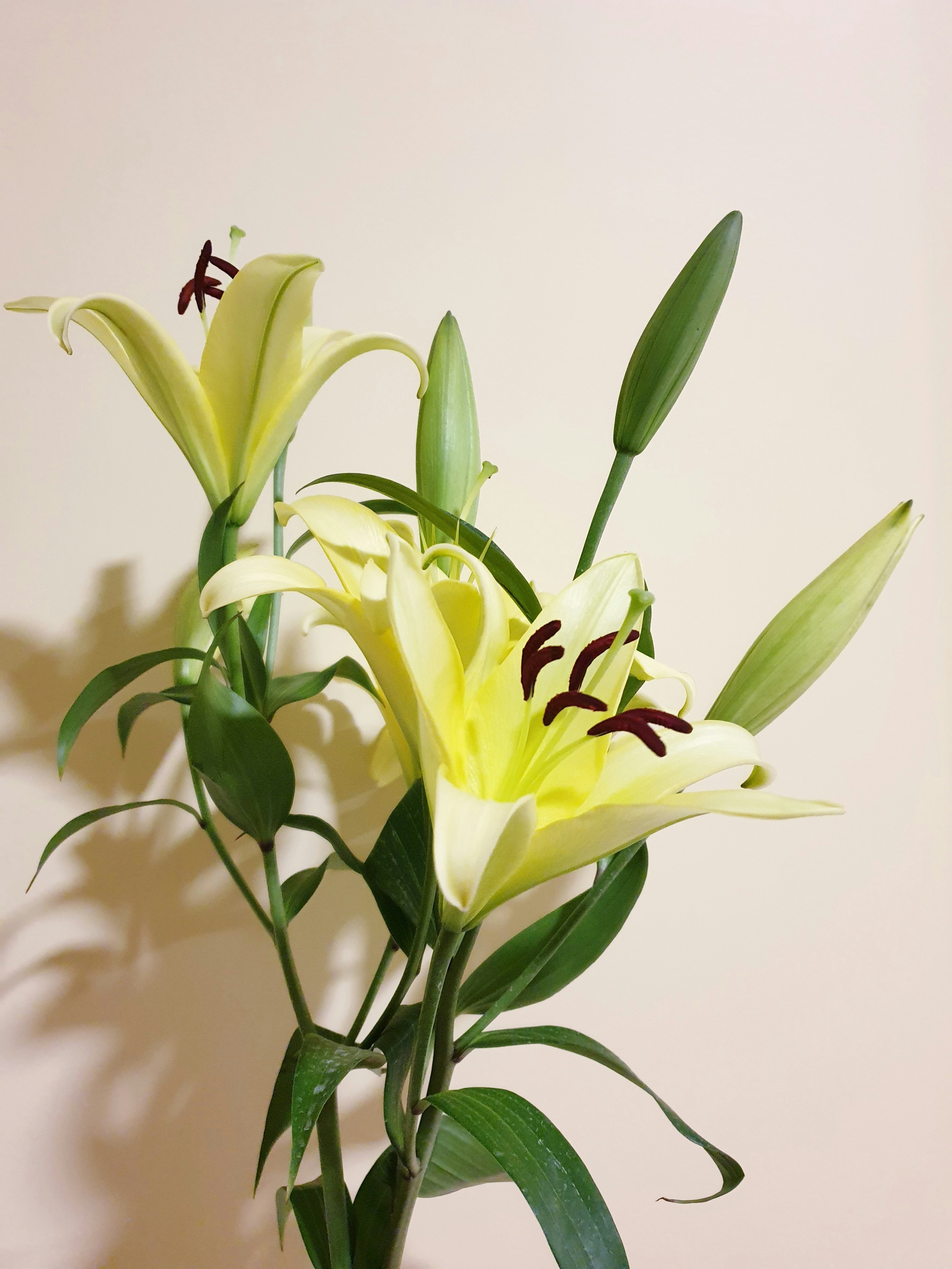 Photo by dhriti_das007