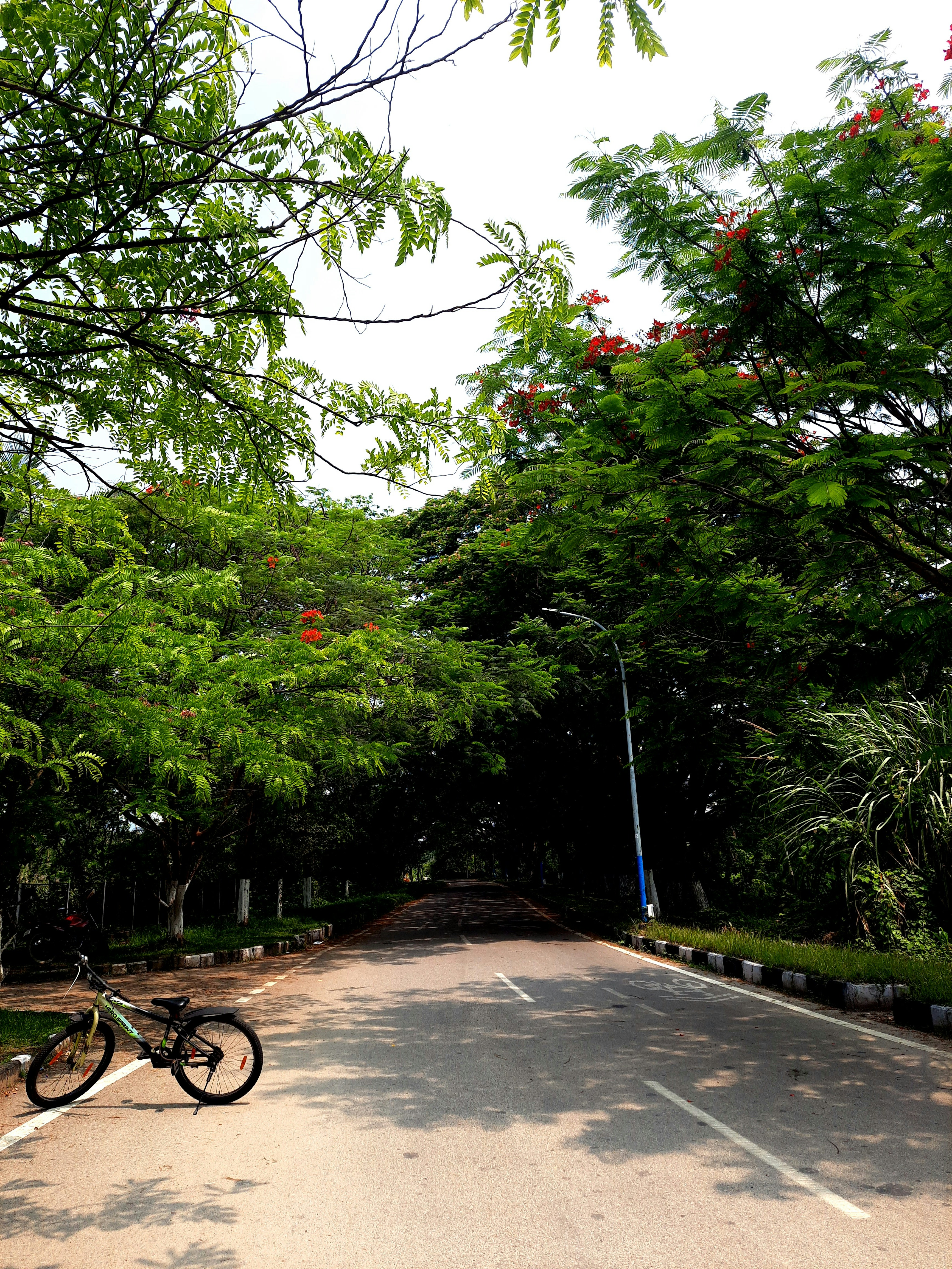 Photo by shutters_flutter