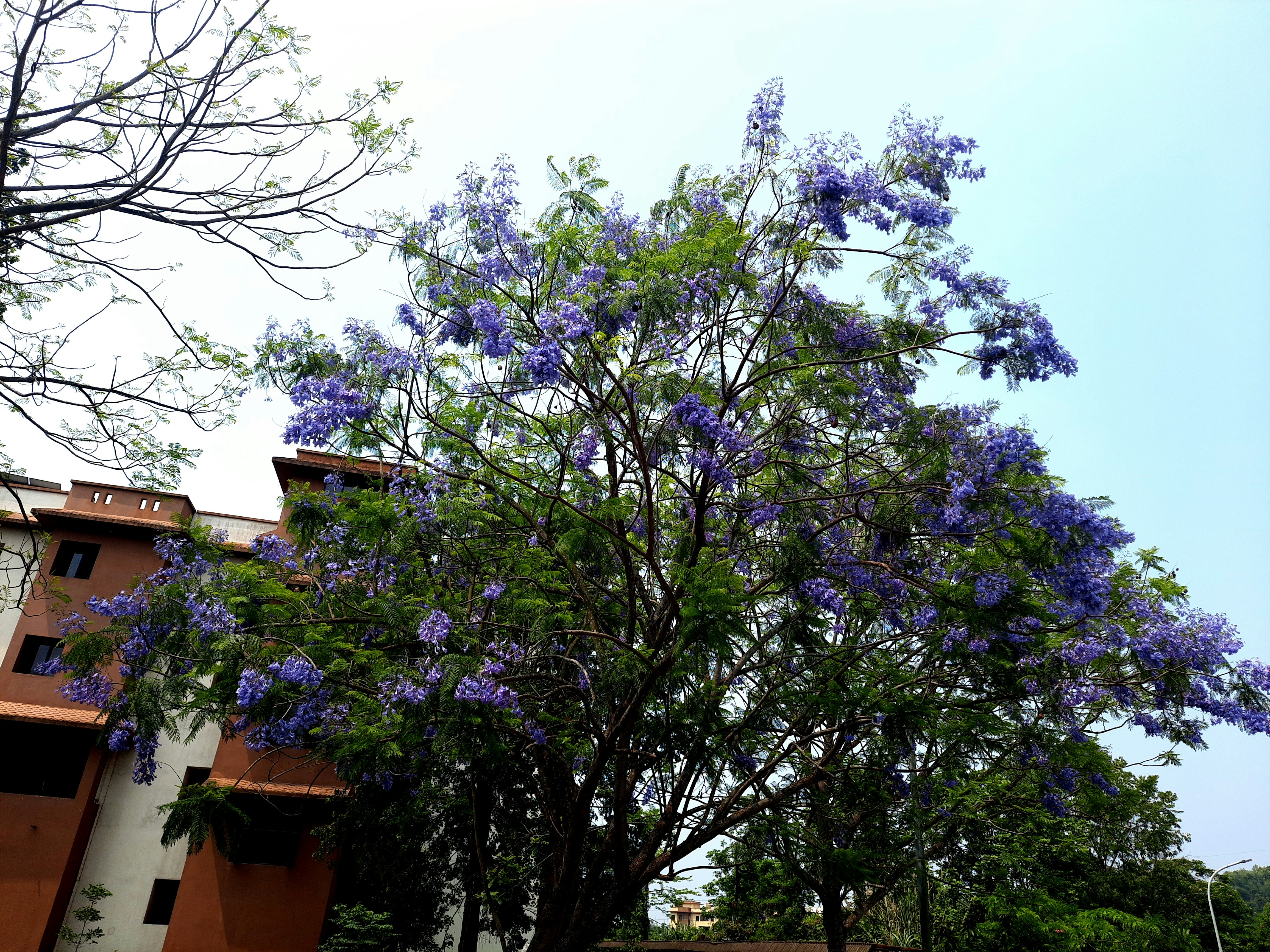 Photo by shutters_flutter