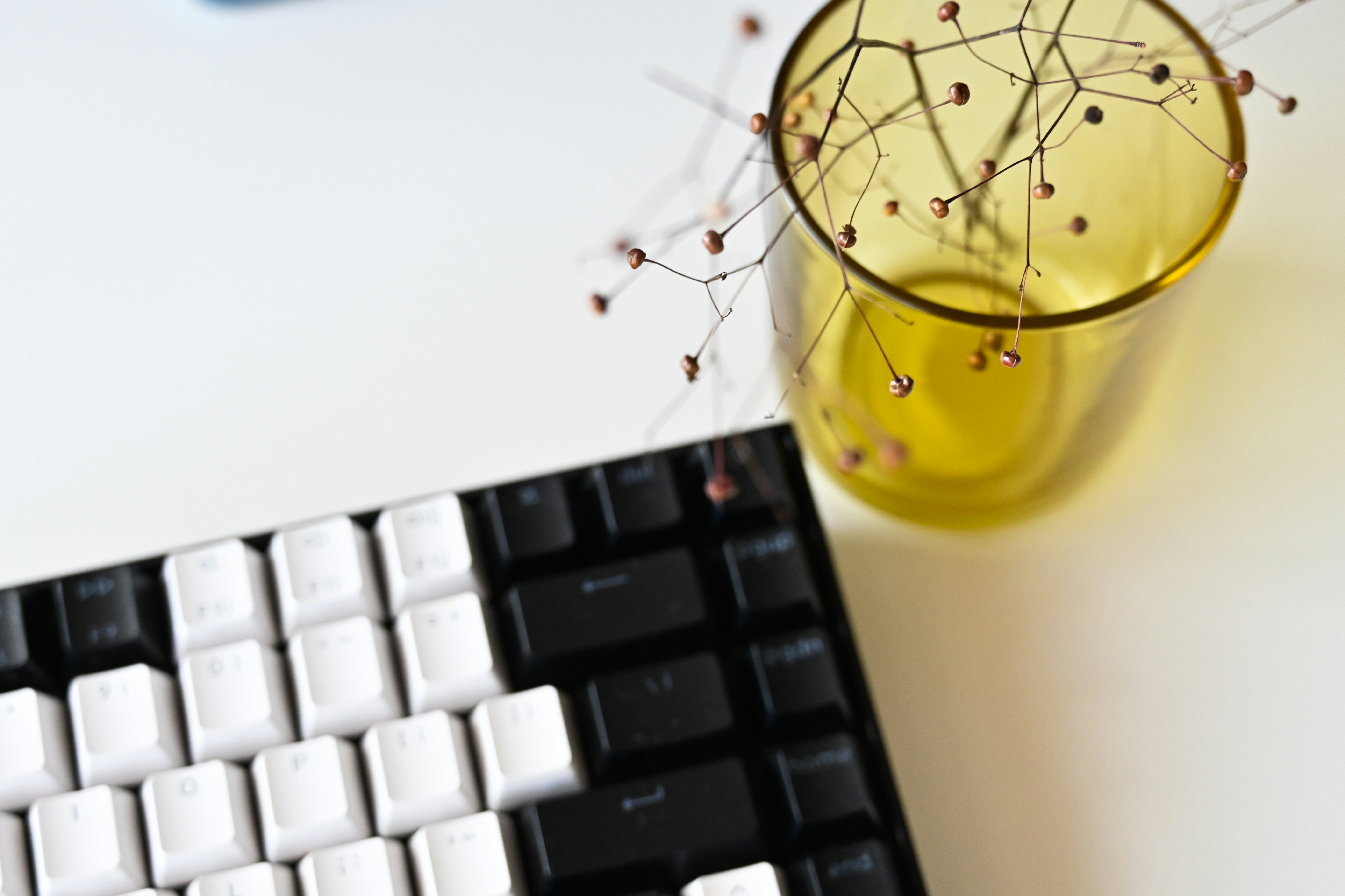 bug bounty hacker breach laptop - a glass of water sitting next to a keyboard