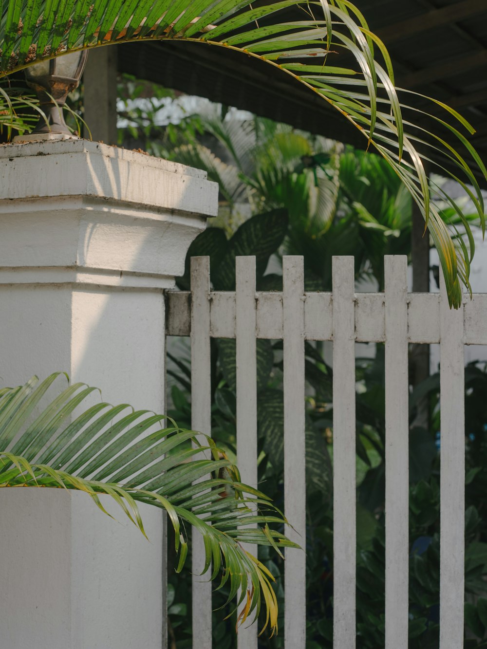 a close up of a white fence with a tree in the background