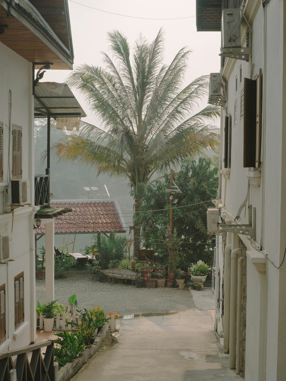 a narrow street with a palm tree in the distance