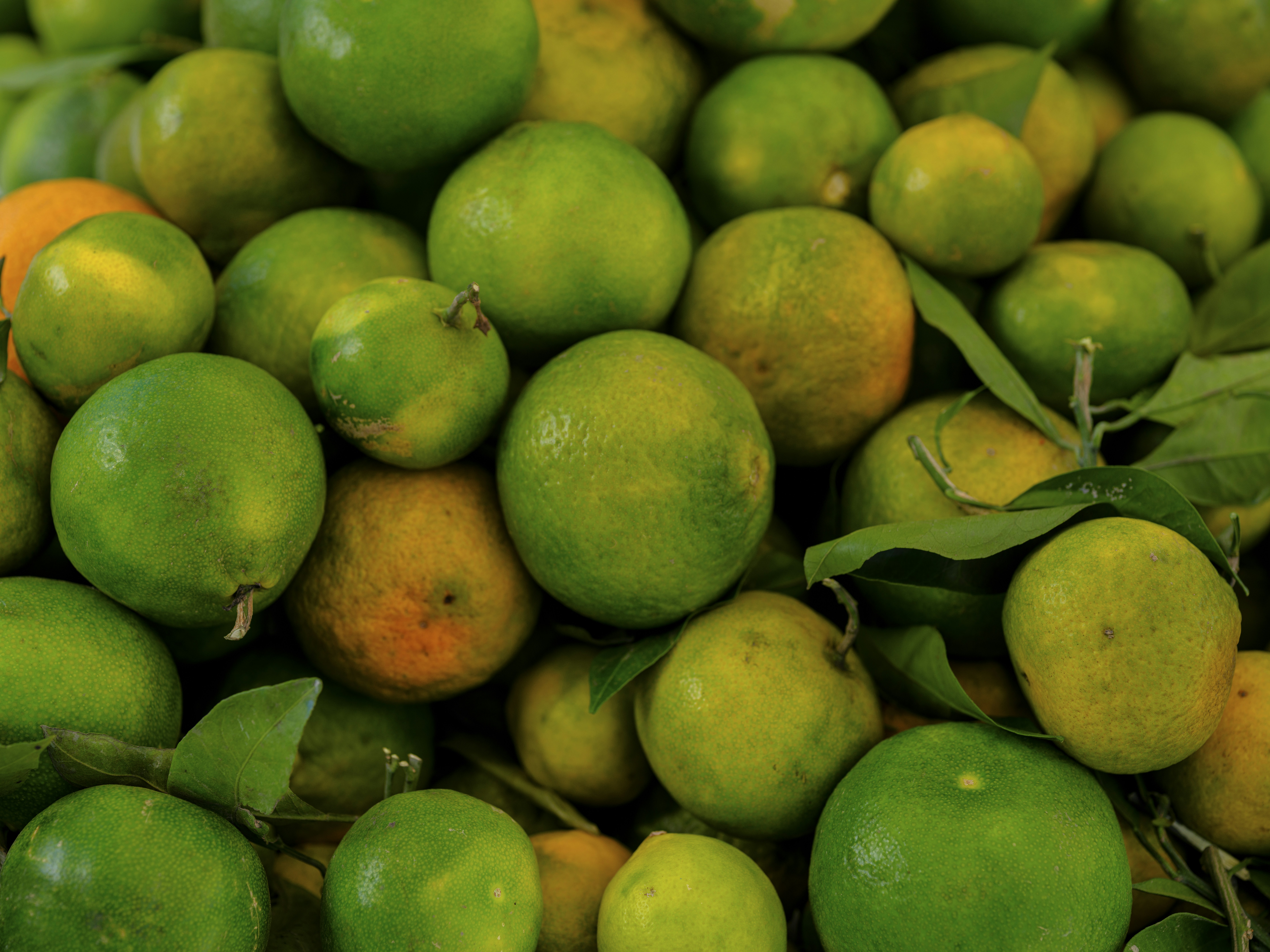 Photo by enginakyurt