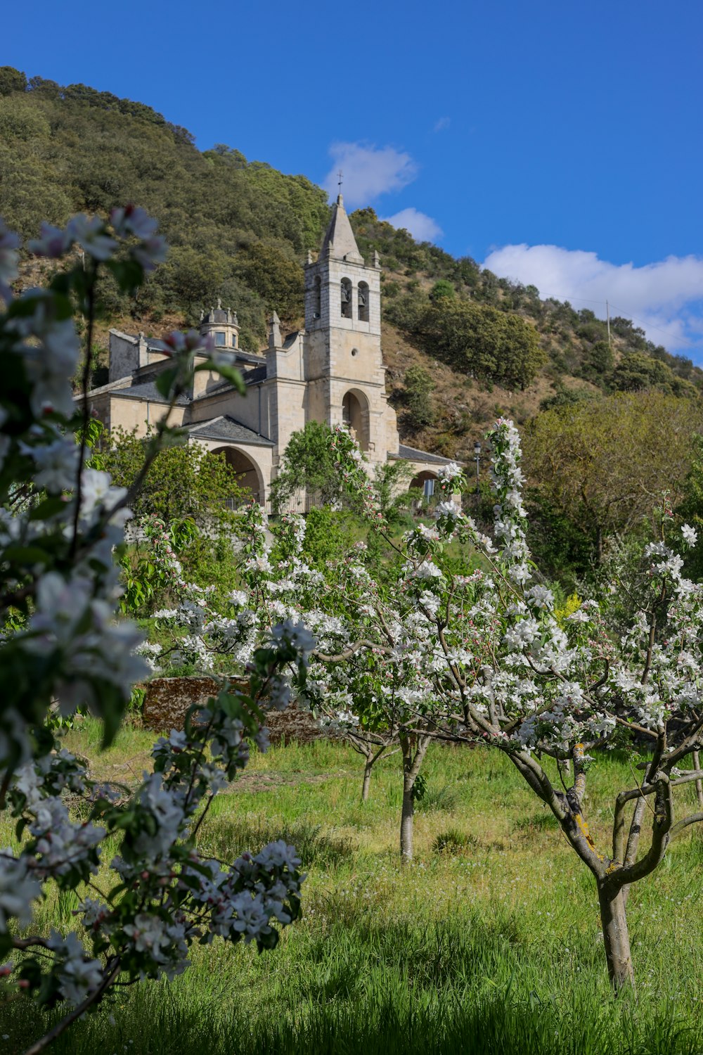 Una iglesia en una colina rodeada de árboles