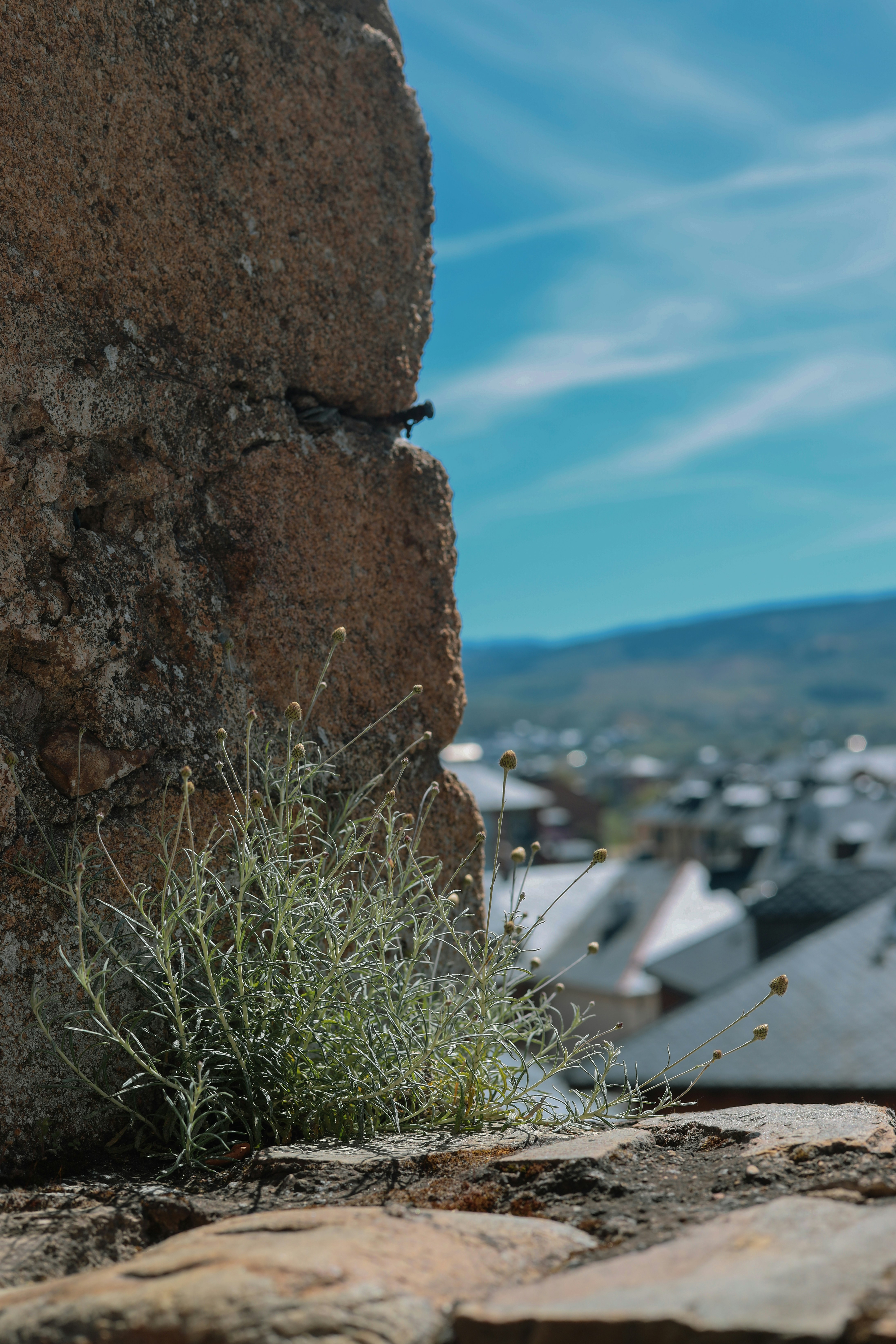 Top 15 Expertos en desarrollo de aplicaciones móviles en Ponferrada