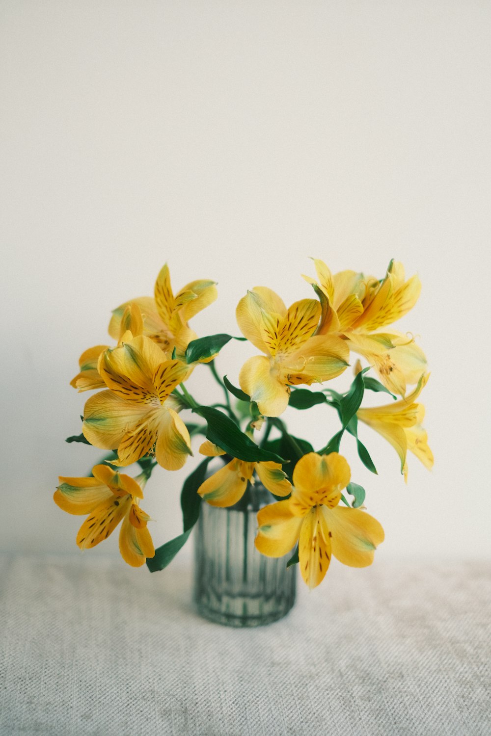 a vase filled with yellow flowers on top of a table