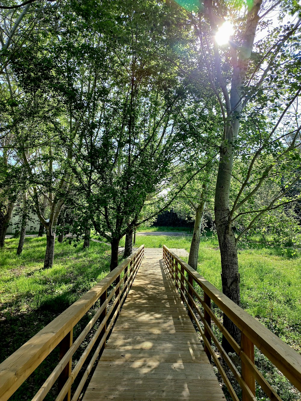 a wooden bridge over a lush green field