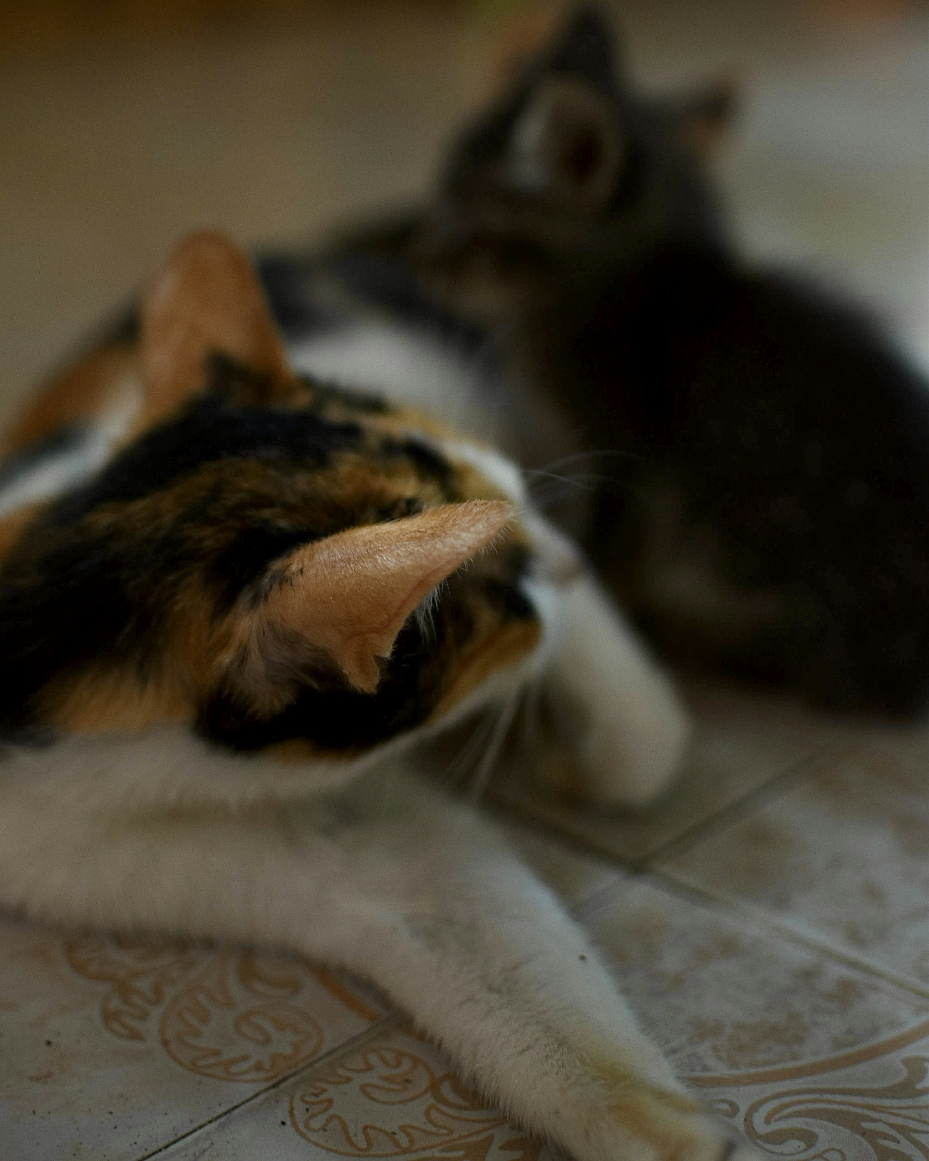 Photo by treb_vinas24