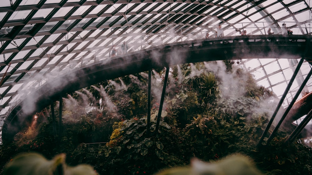 steam rises from the inside of a greenhouse