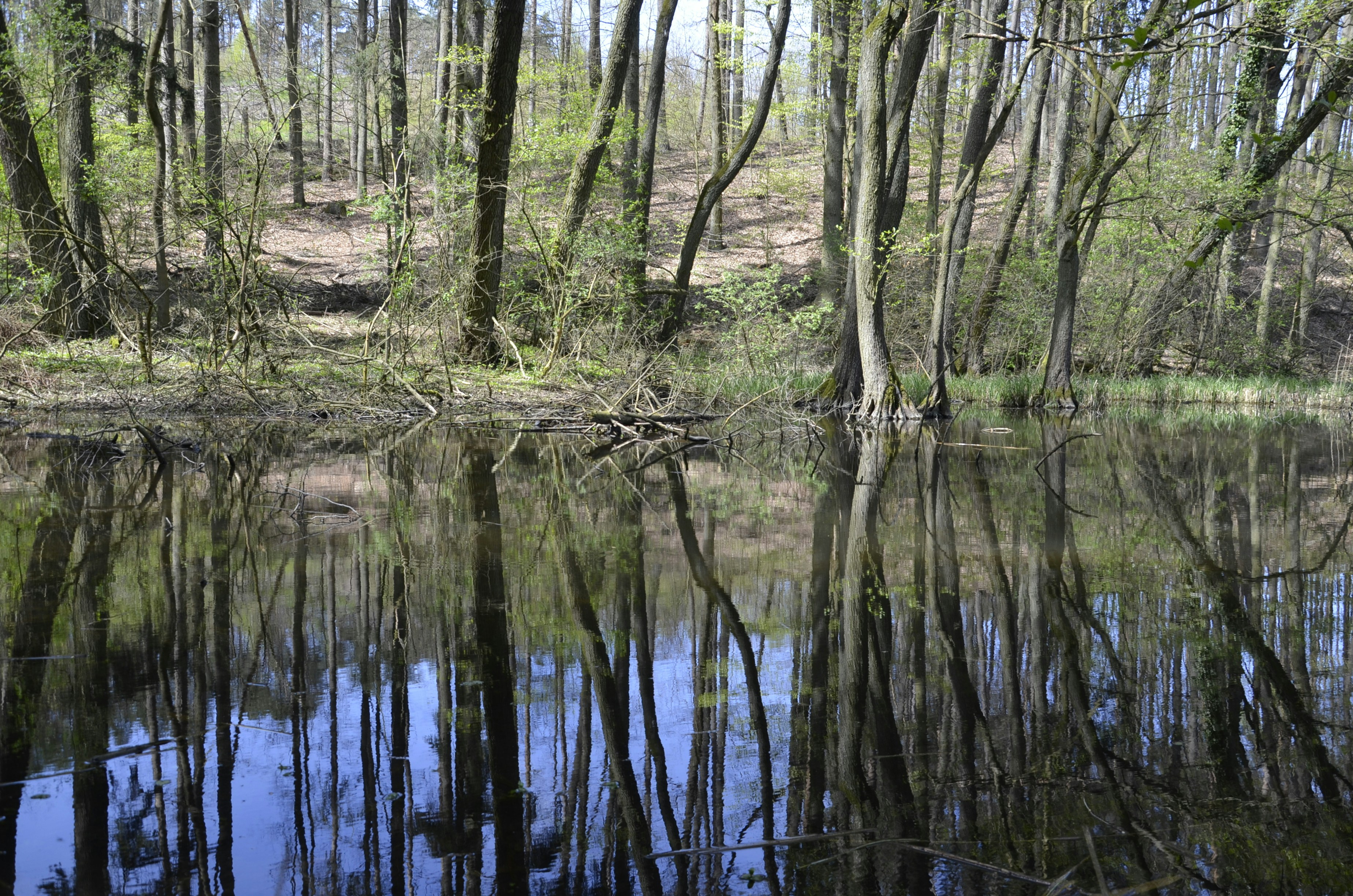 Photo by renovatio72