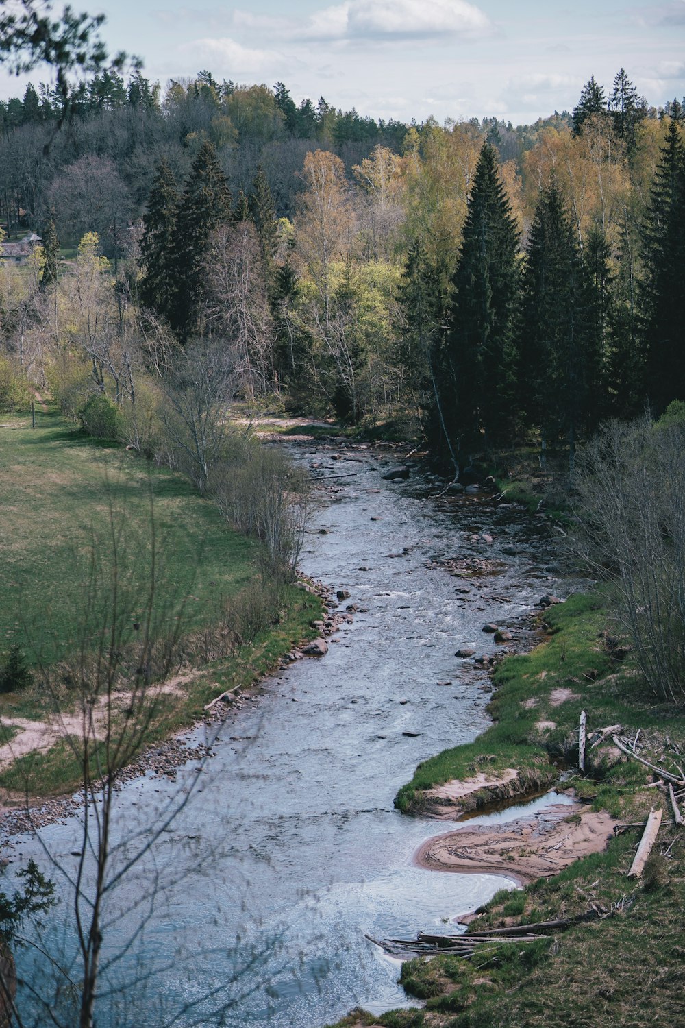 a river running through a lush green forest