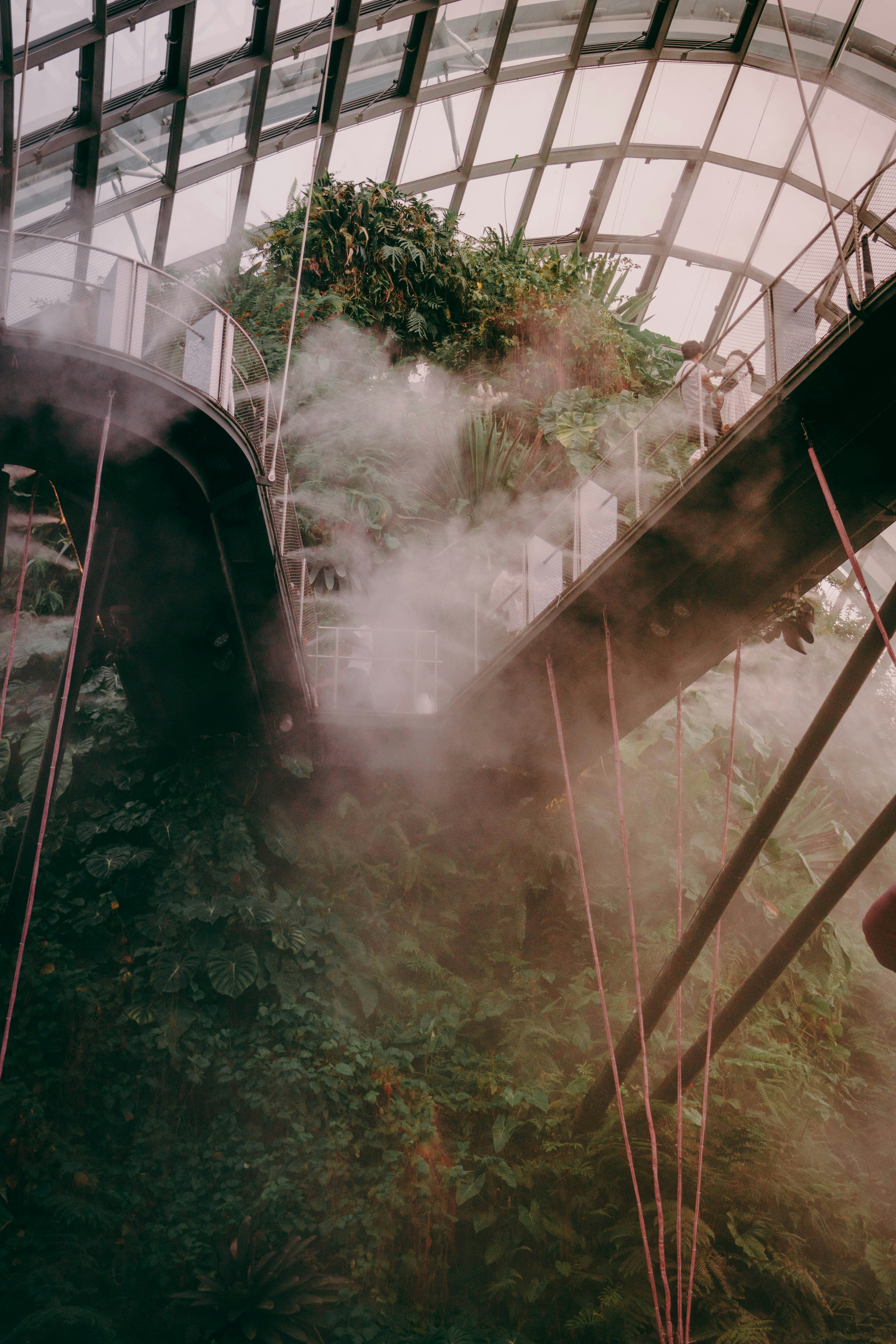 Photo by bhuwan_bansal