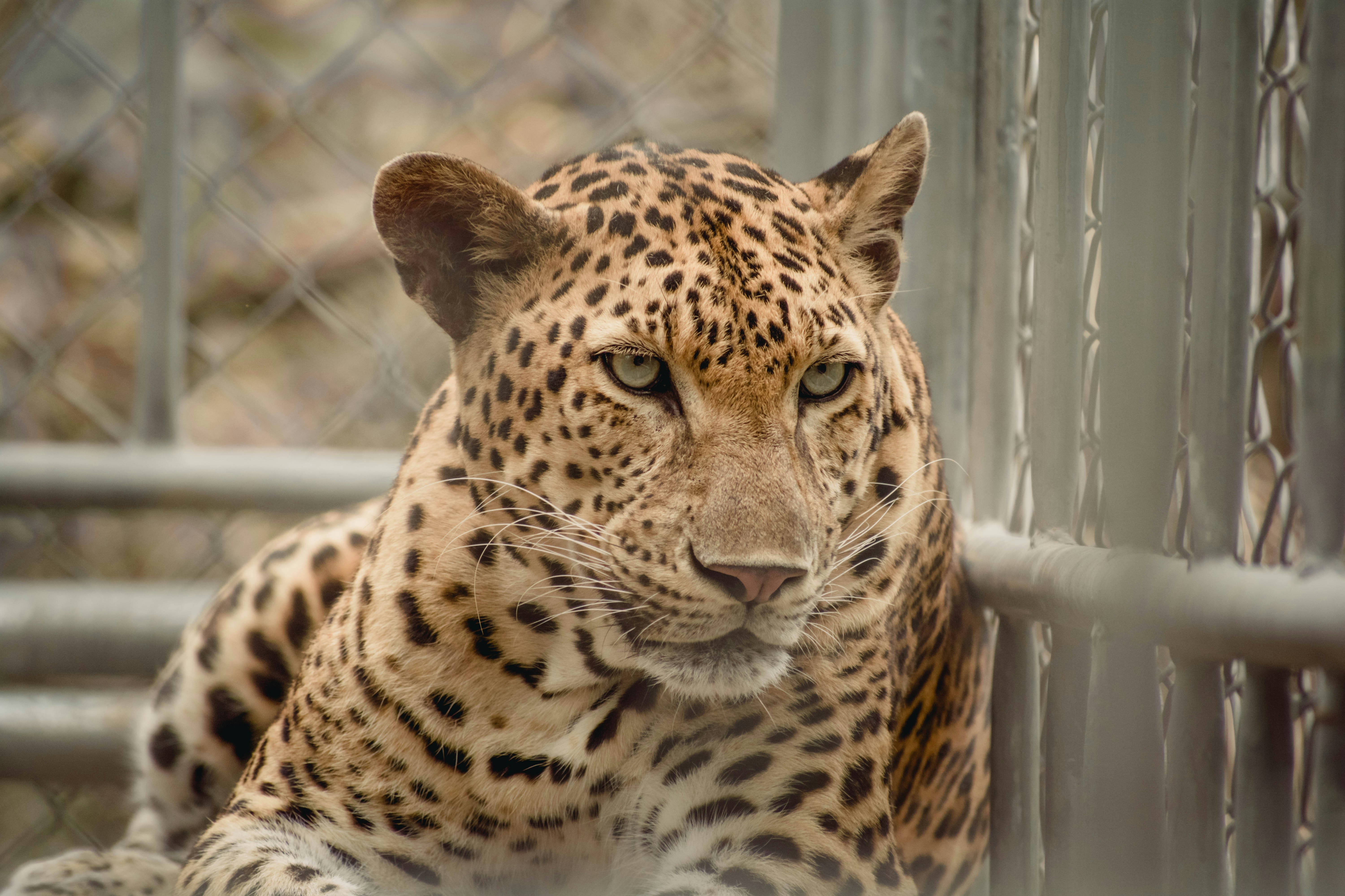 Photo by maiami24569