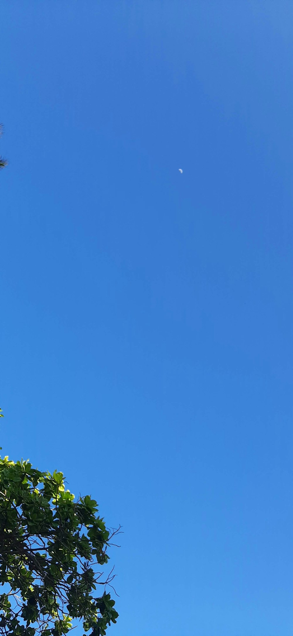 a plane flying high in the blue sky