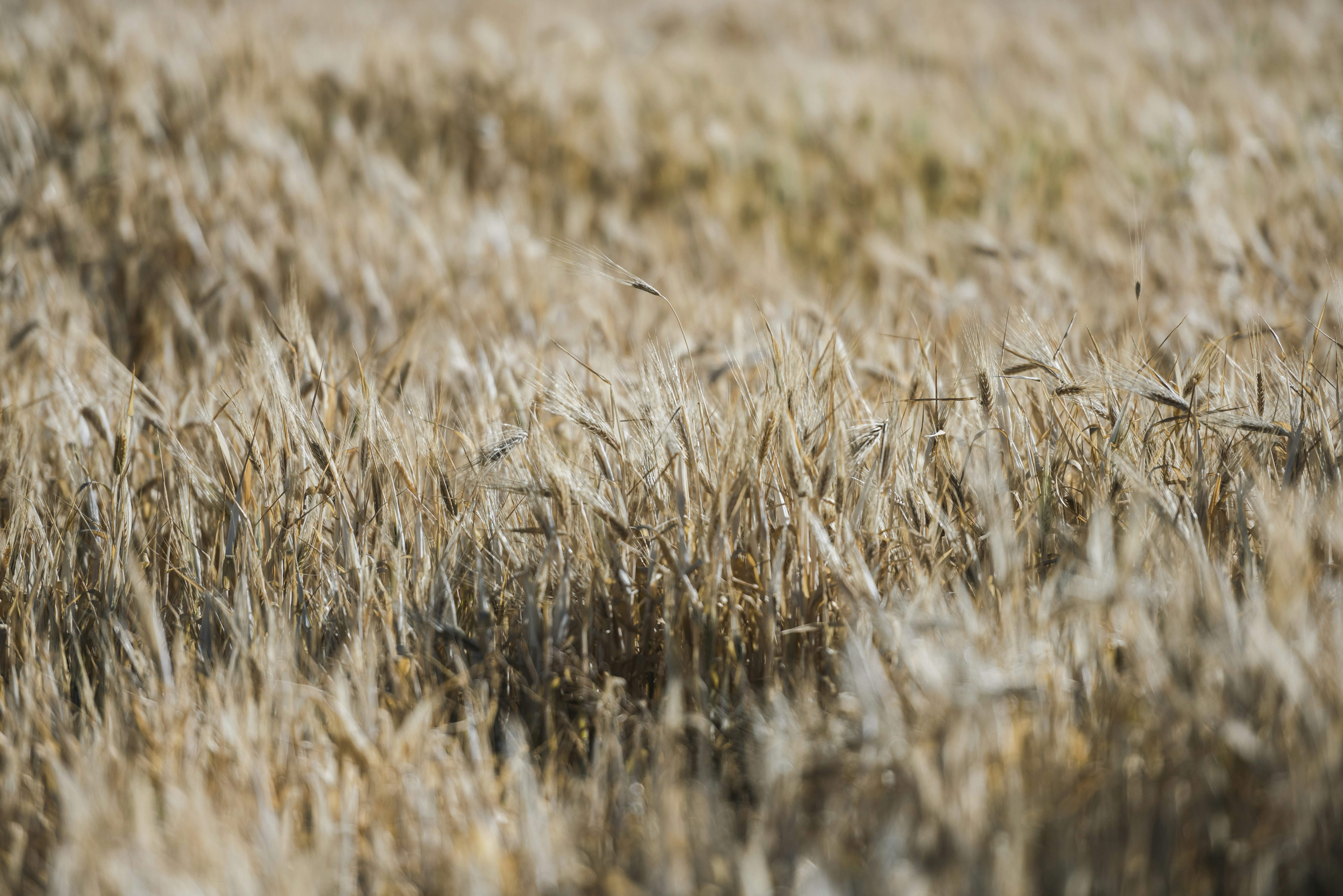 Photo by mk_cameraman