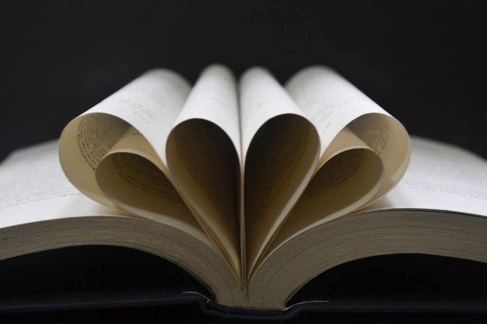 a close up of a book with pages folded in the shape of a heart