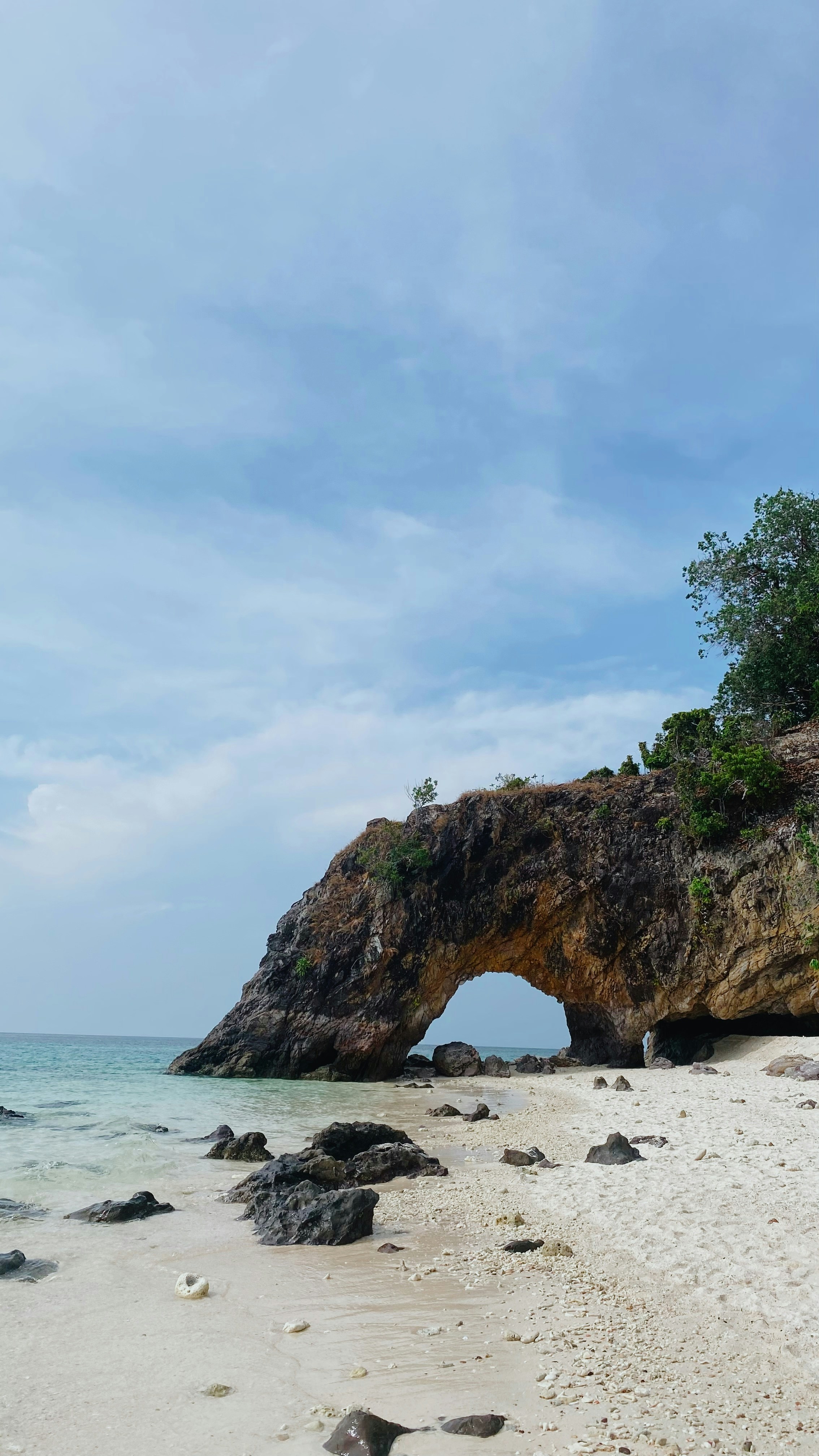 Photo by tamamatatamu